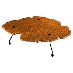 Rare Enzo Testa for Bernini Coffee Table in Walnut Briar Burl and Steel