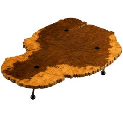 Rare Enzo Testa for Bernini Coffee Table in Walnut Briar Burl and Steel