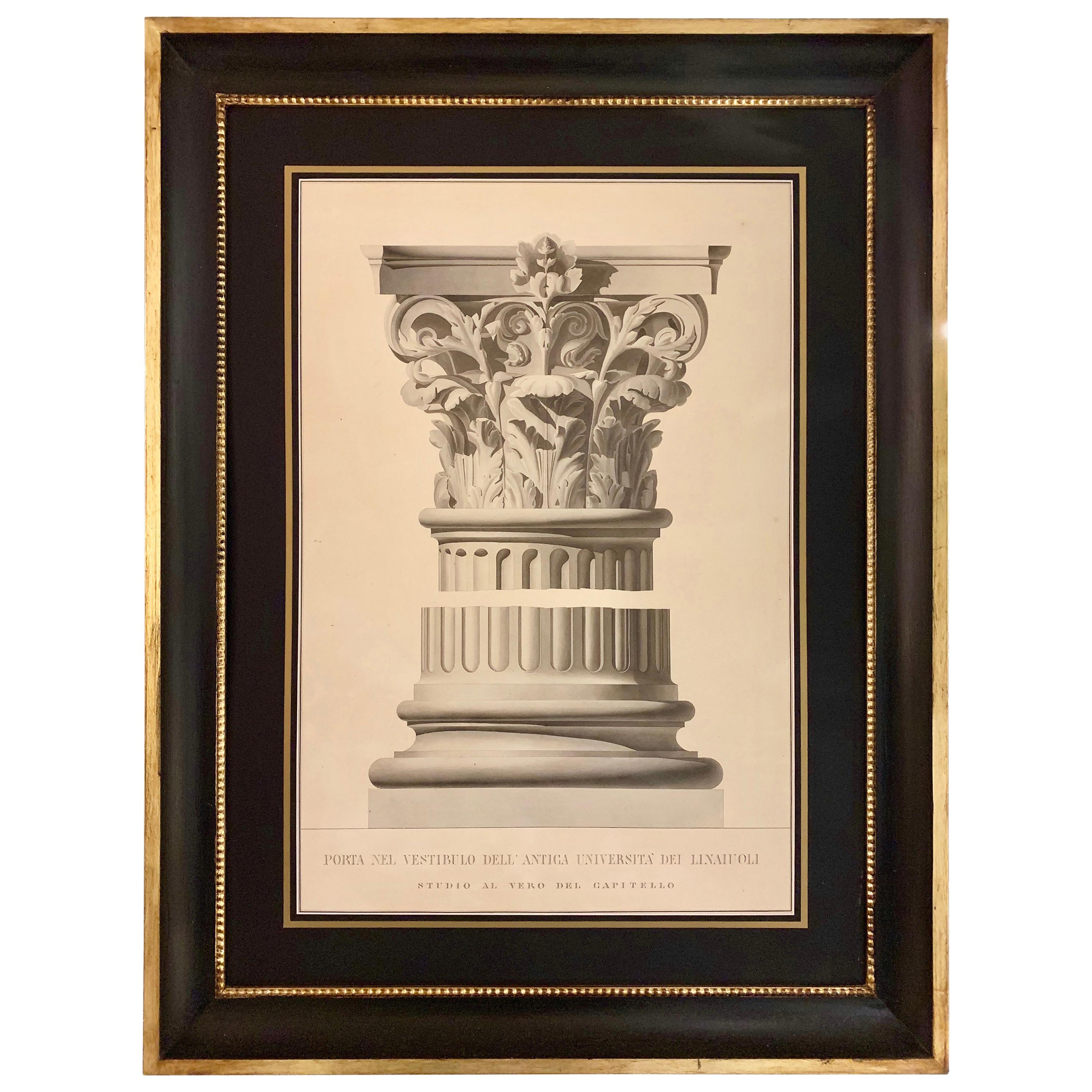 Italian 19C Big Architectural Hand-coloured Print with Black and Gold Frame For Sale