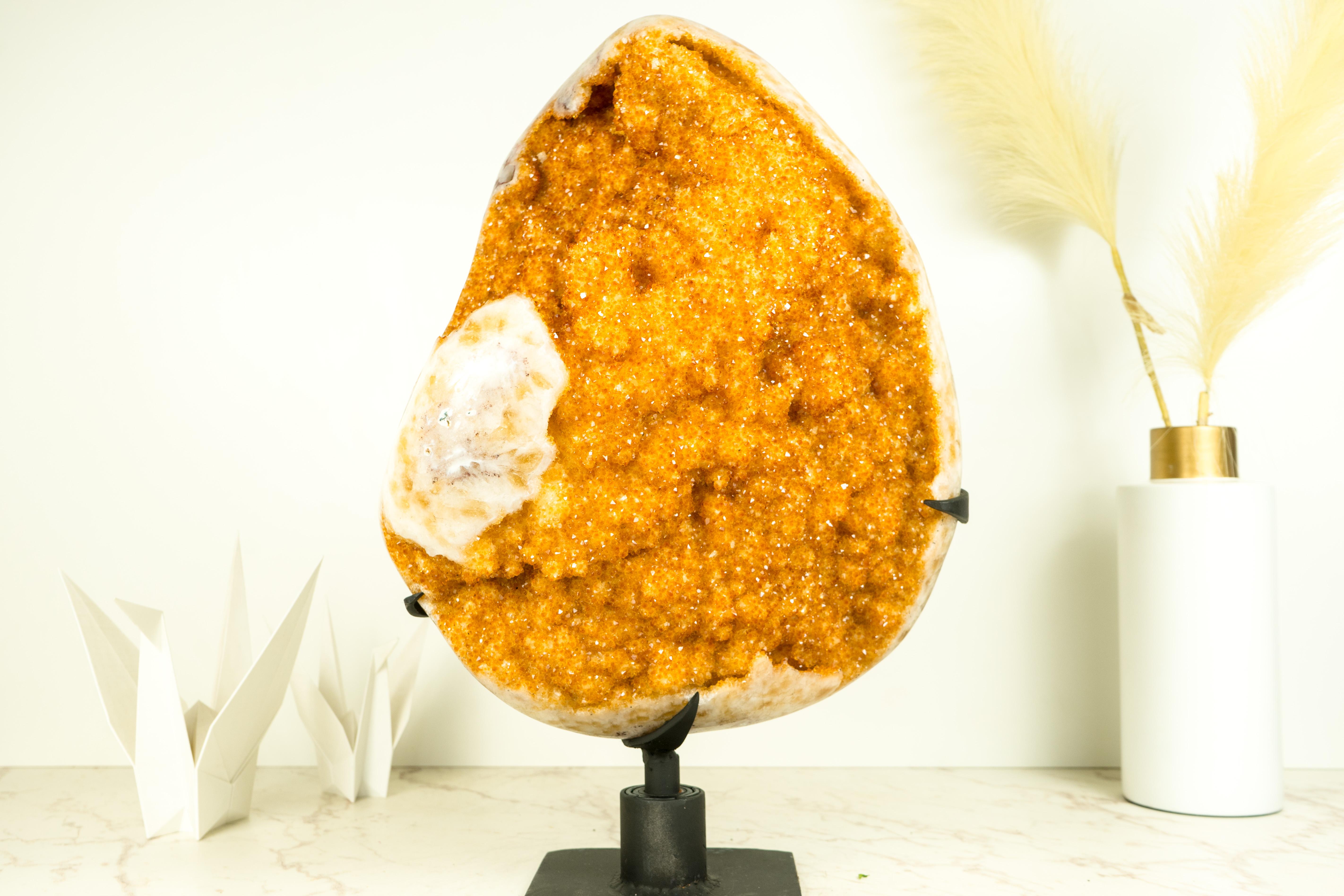Cluster di Citrino da collezione con Druzy Citrino Dorato, Fiori di Stalattite e Inclusioni di Calcite

▫️ Descrizione

Uno dei più bei mazzi di fiori di citrino mai estratti, con colori ricchi e caratteristiche sorprendenti, brilla in tonalità che