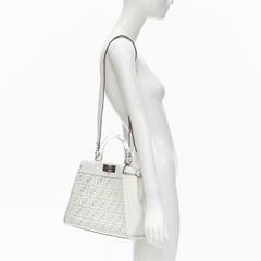 rare FENDI 2019 Limited Peekaboo FF Zucca clear PVC monogram perspex handle bag