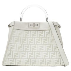rare FENDI 2019 Limited Peekaboo FF Zucca clear PVC monogram perspex handle bag