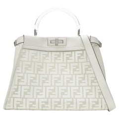 rare FENDI 2019 Limited Peekaboo FF Zucca clear PVC monogram perspex handle bag