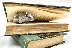 Rare Figural Antique English Sterling Silver Mouse with Ruby Eyes Snuff Box 1884