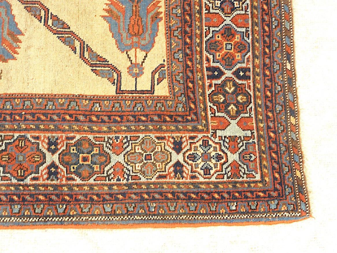 

Questo raro tappeto antico da collezione Afshar è un capolavoro, tessuto intorno al 1850, ed è ampiamente considerato uno dei migliori esempi del suo genere. Misura 4'3