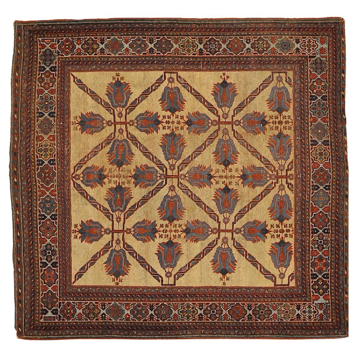 Raro Tappeto Afshar Antico da Collezione Circa 1850