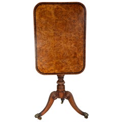 Rare Fine Quality Early 19th Century Regency Burr Oak Tilt Top Table Antique Rare Fine Quality Early 19th Century Regency Burr Oak Tilt Top Table
