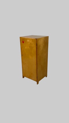 Rare Finnish Mid-Century Apothecary Cabinet with Vintage Abloy Lock