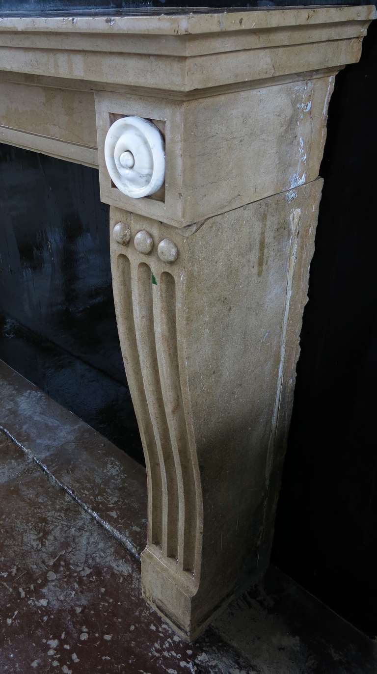 French Antique Fireplace from Burgundy, 19th Century France 'Marble Stone' 1800s In Good Condition For Sale In LOS ANGELES, CA