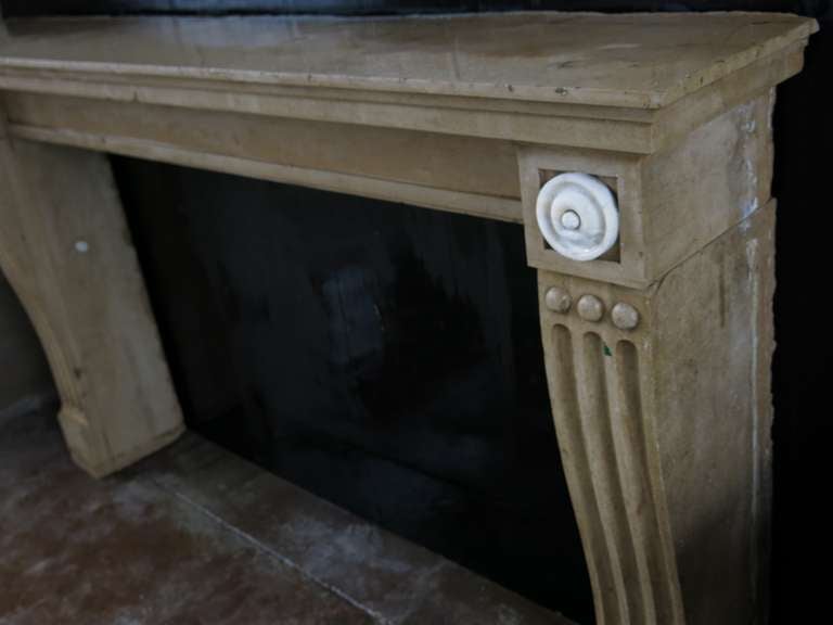 French Antique Fireplace from Burgundy, 19th Century France 'Marble Stone' 1800s For Sale 1