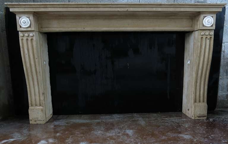 French Antique Fireplace from Burgundy, 19th Century France 'Marble Stone' 1800s For Sale 2