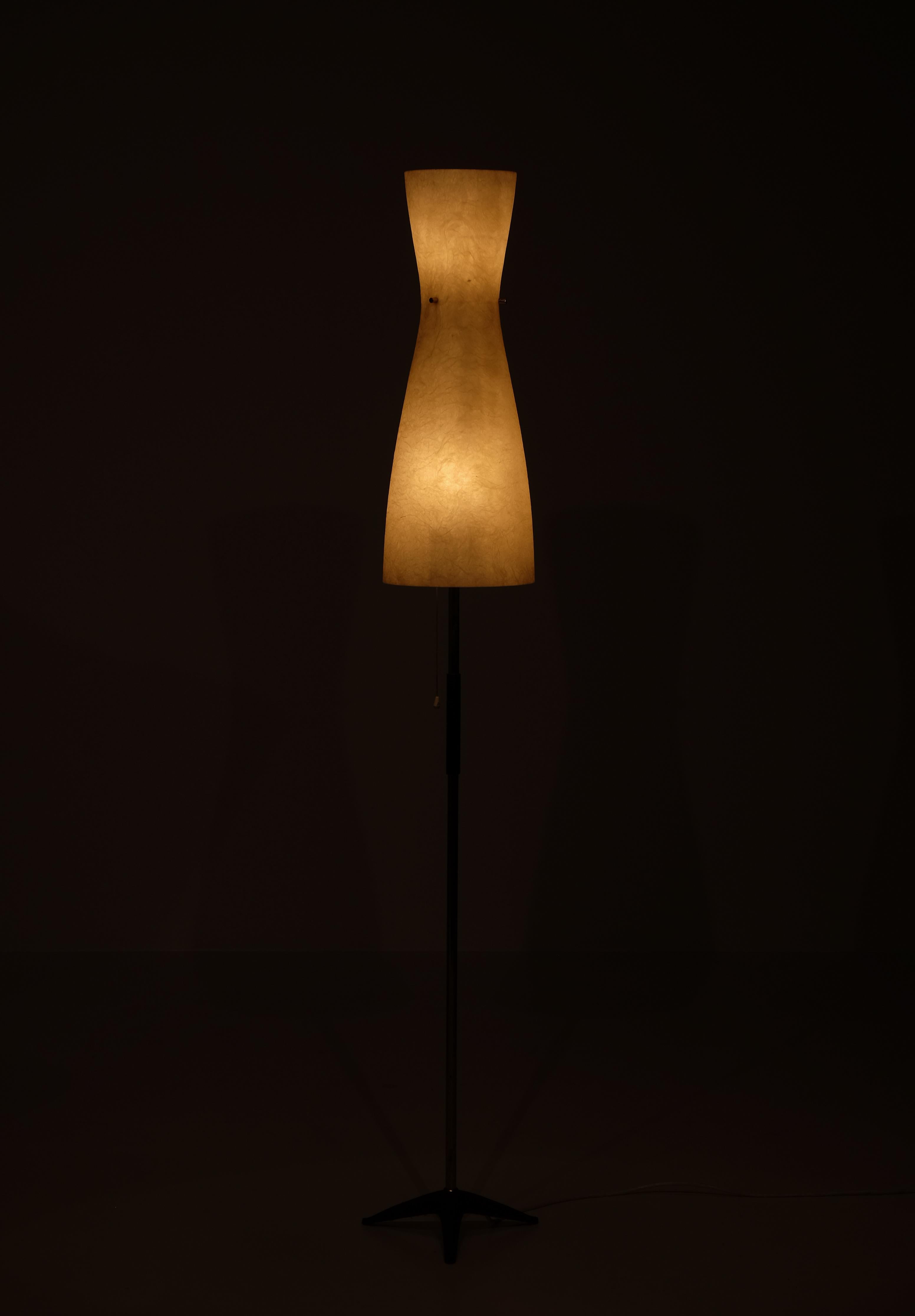 Rare Floor Lamp, 1950s For Sale 3