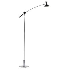 Rare Floor Lamp by Clive Entwistle