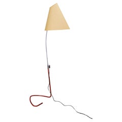 Floor Lamps