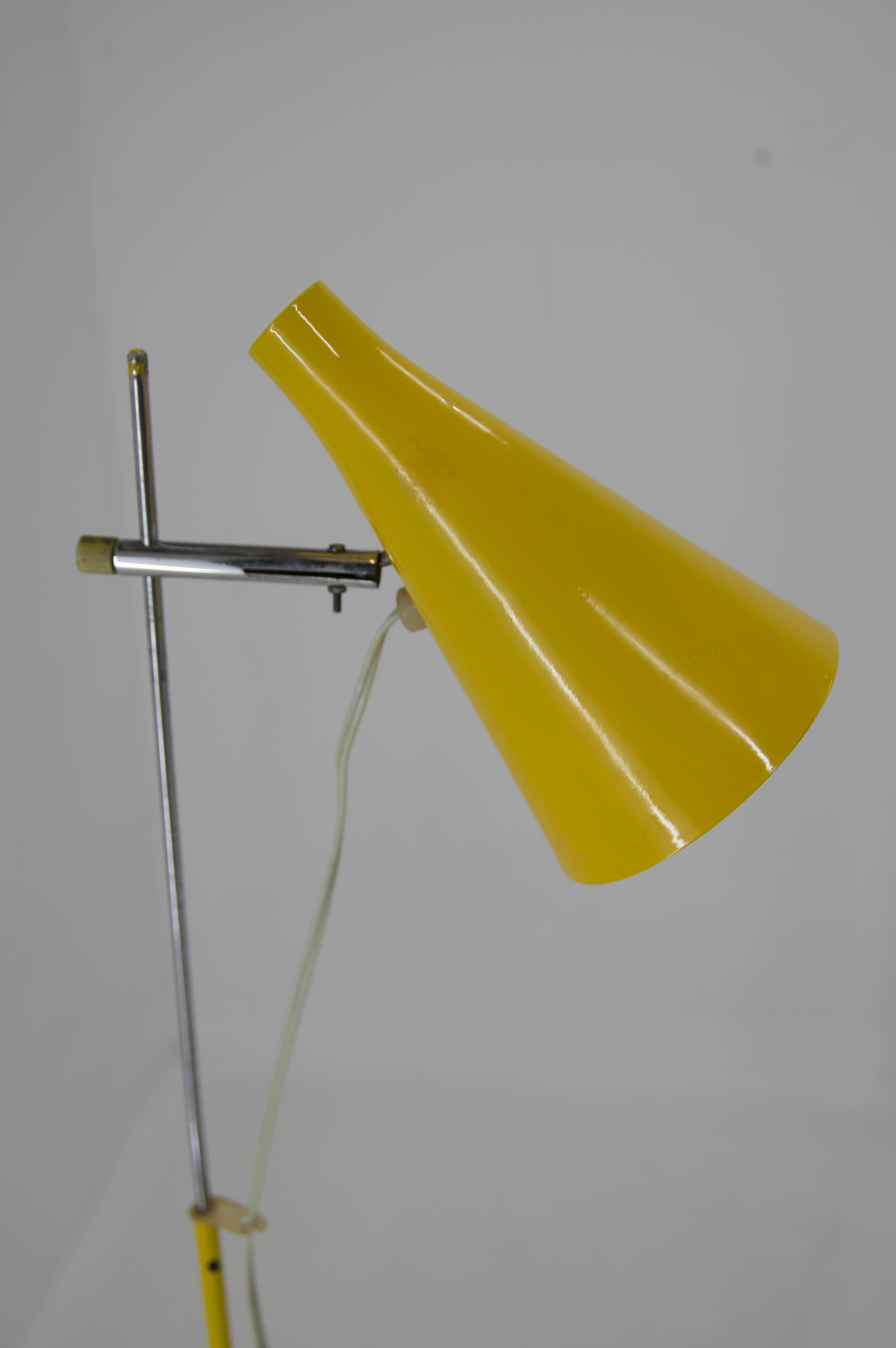 Czech Rare Floor Lamp by Lidokov, 1960s For Sale