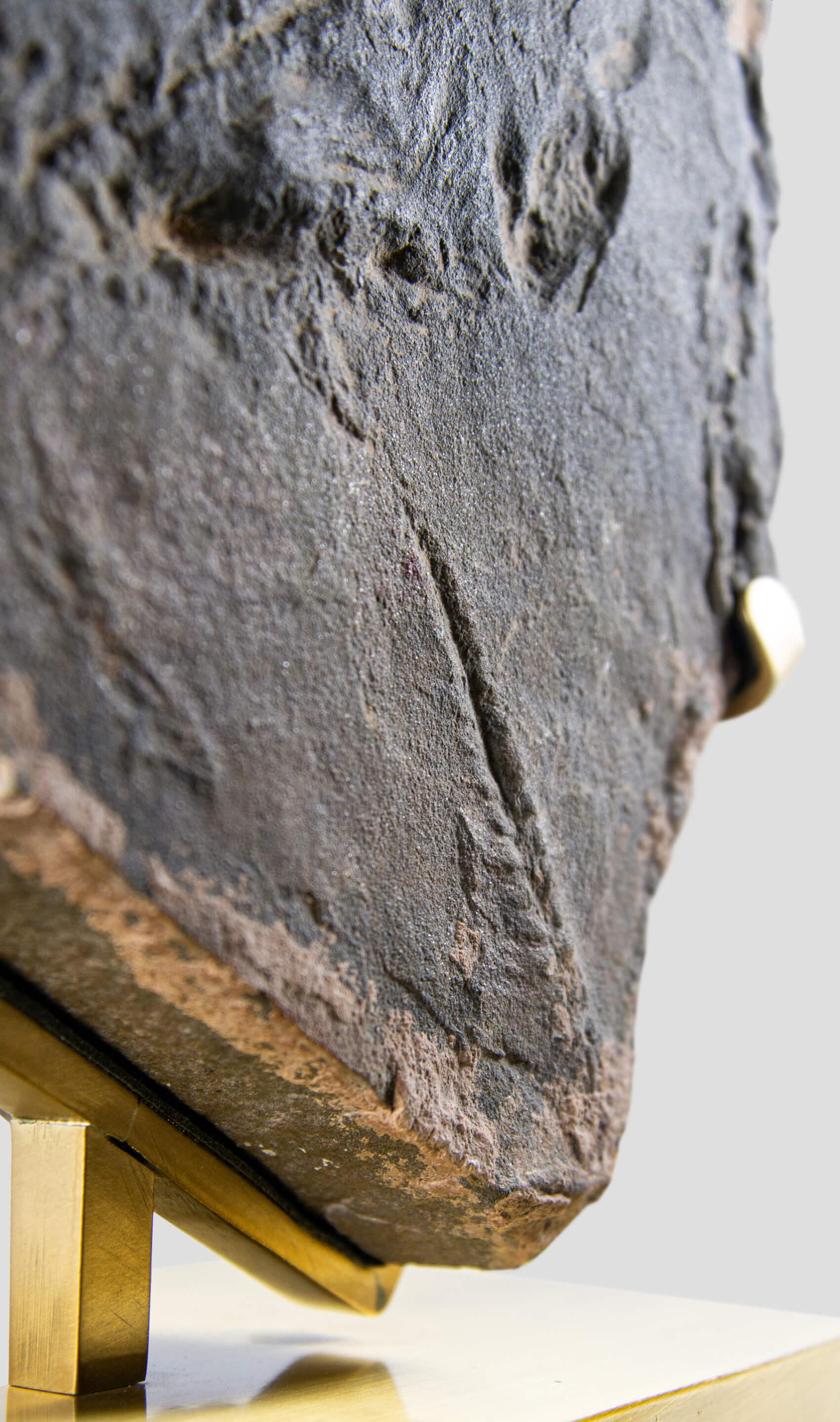 Seltene Fossil Trilobite Tracks Surmounted Geätzte Messing Stand im Angebot 3