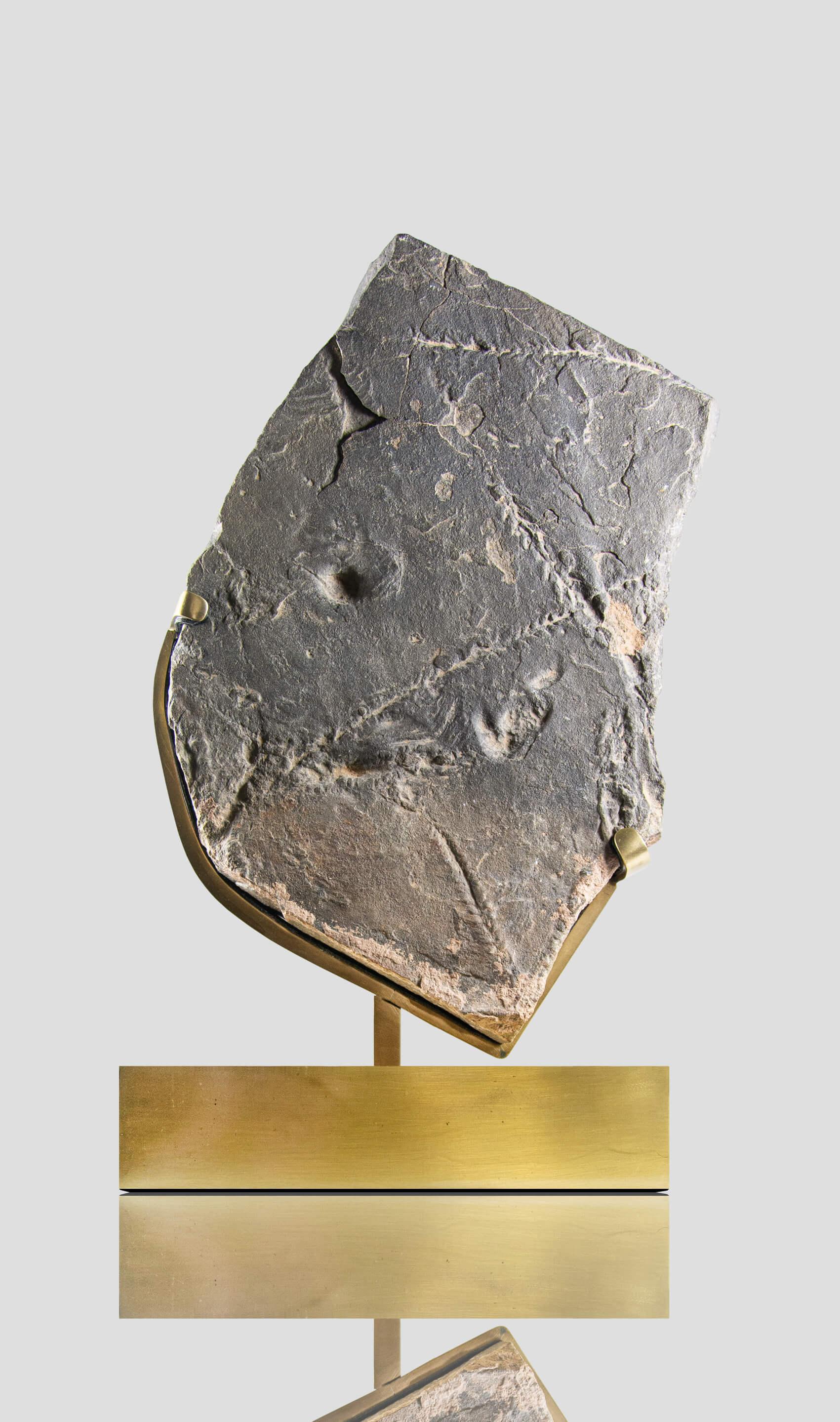 Seltene Fossil Trilobite Tracks Surmounted Geätzte Messing Stand (Prähistorisch) im Angebot