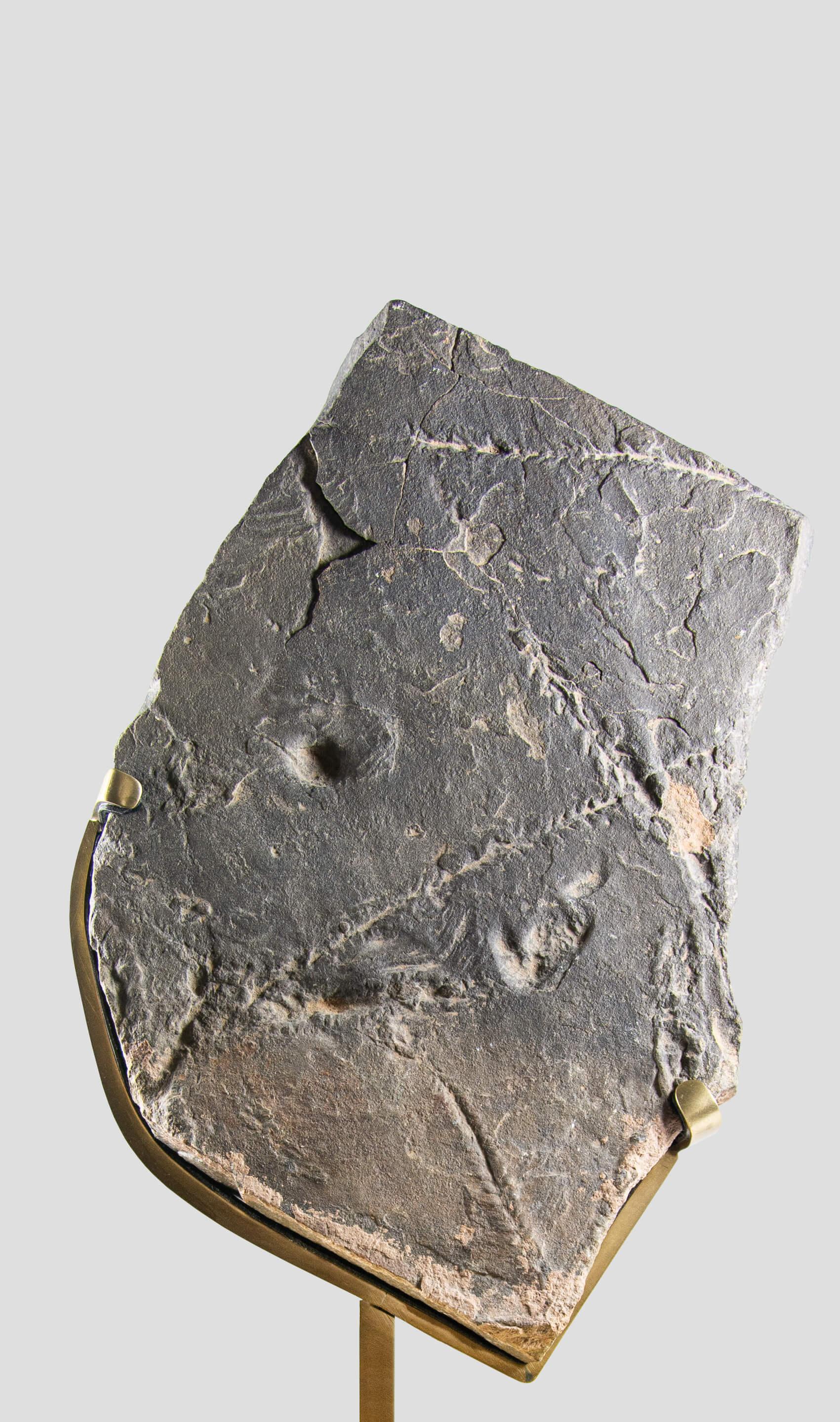 Seltene Fossil Trilobite Tracks Surmounted Geätzte Messing Stand (Nordafrikanisch) im Angebot