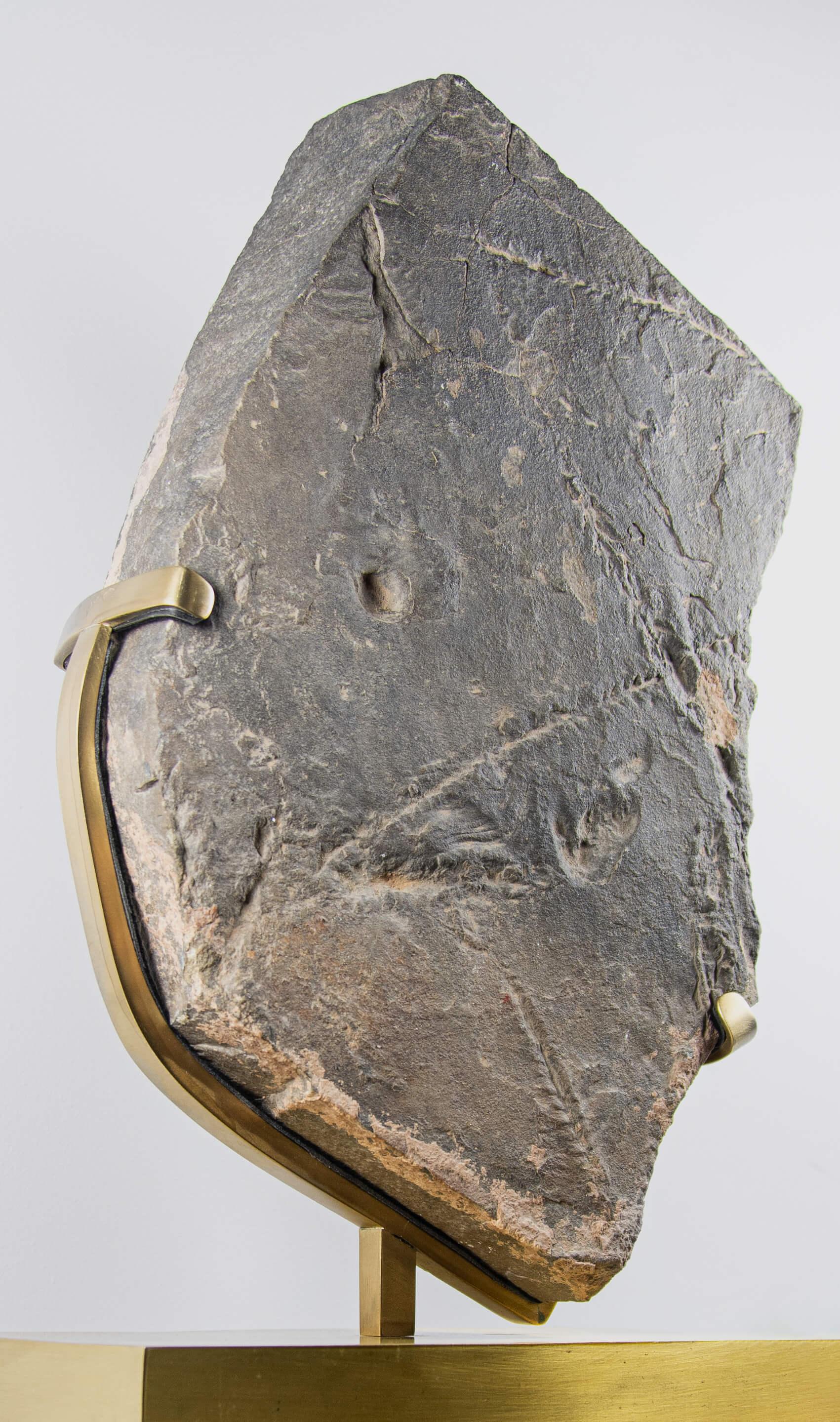 Seltene Fossil Trilobite Tracks Surmounted Geätzte Messing Stand im Zustand „Hervorragend“ im Angebot in Scorton, GB