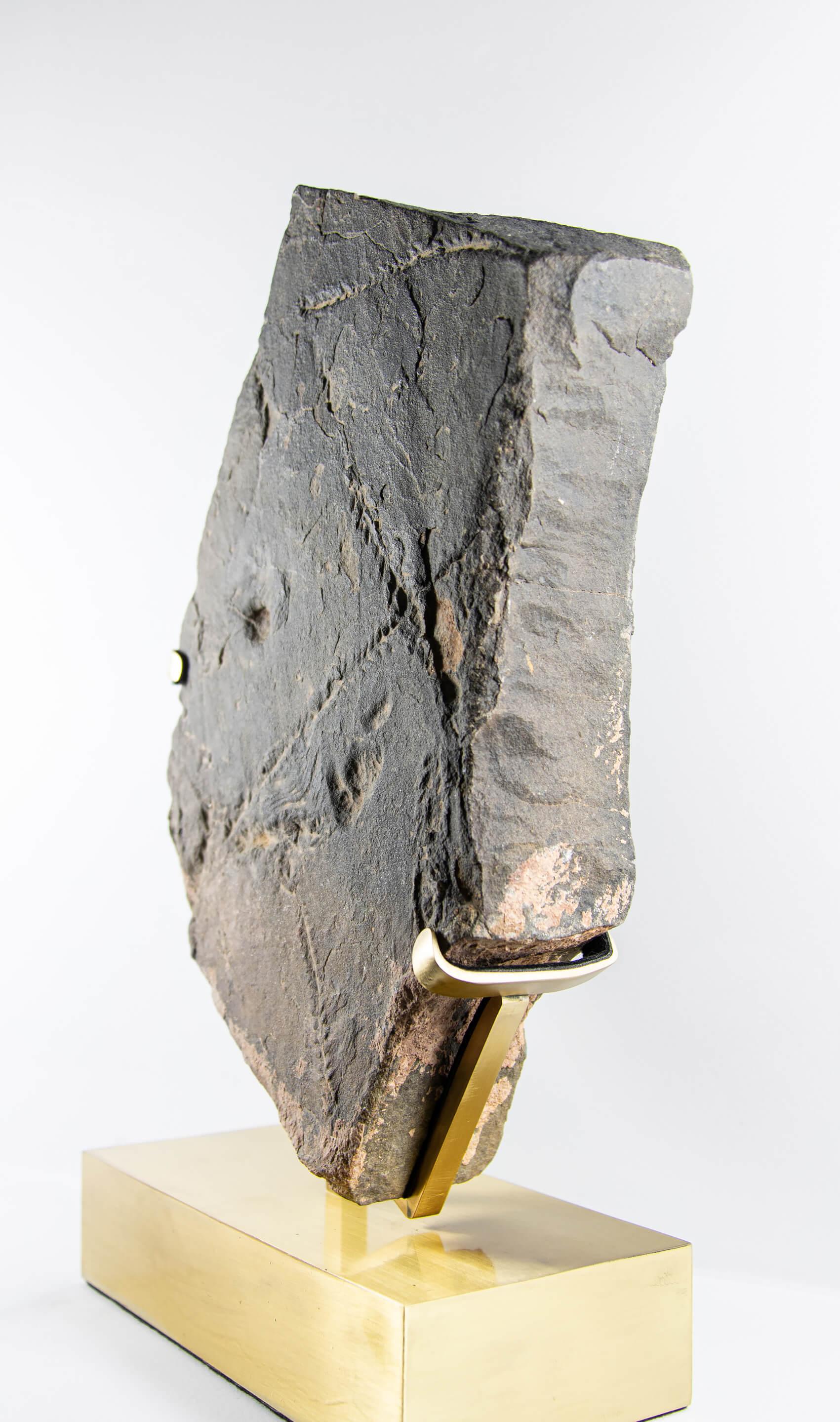 Seltene Fossil Trilobite Tracks Surmounted Geätzte Messing Stand (18. Jahrhundert und früher) im Angebot