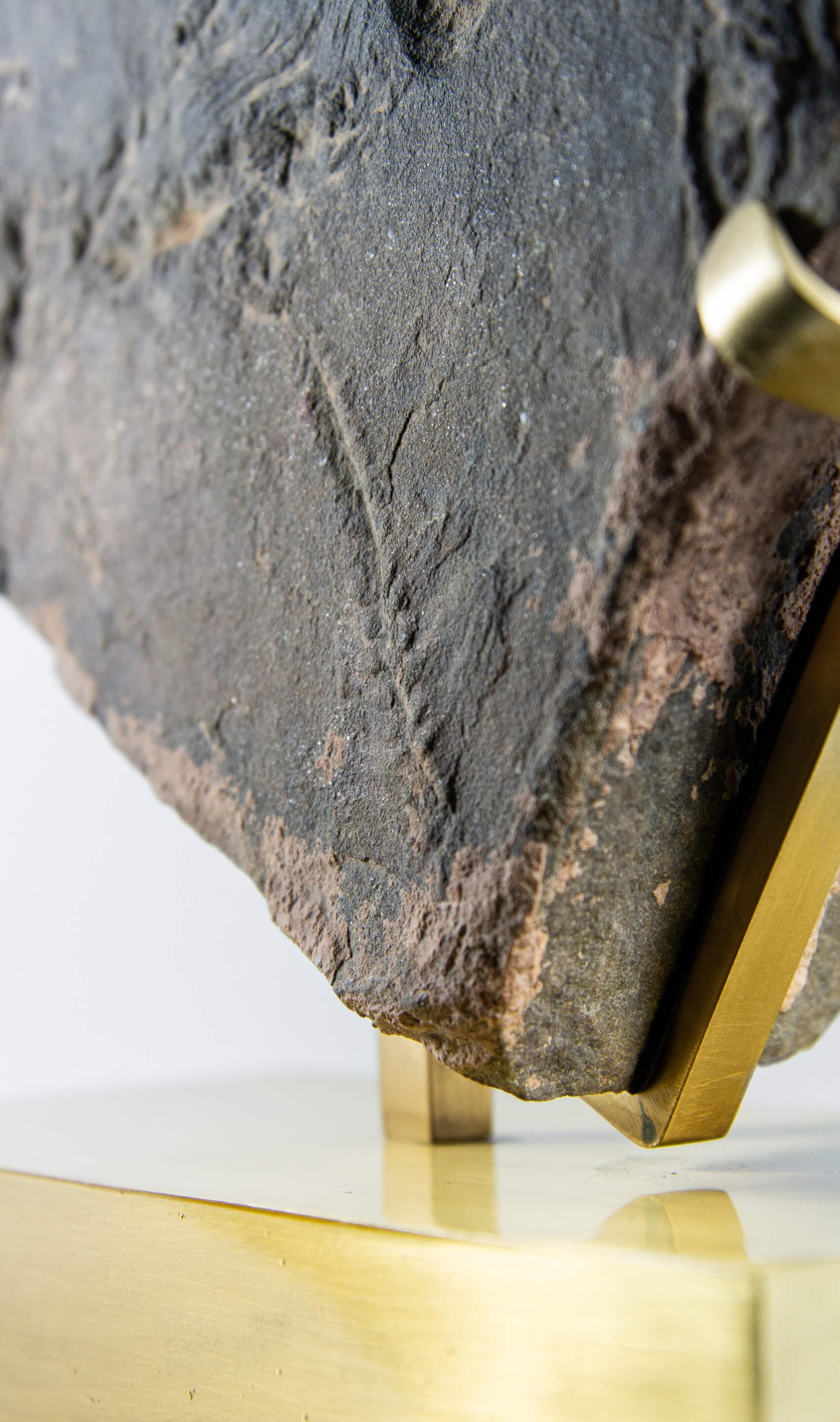 Seltene Fossil Trilobite Tracks Surmounted Geätzte Messing Stand (Eisenstein) im Angebot