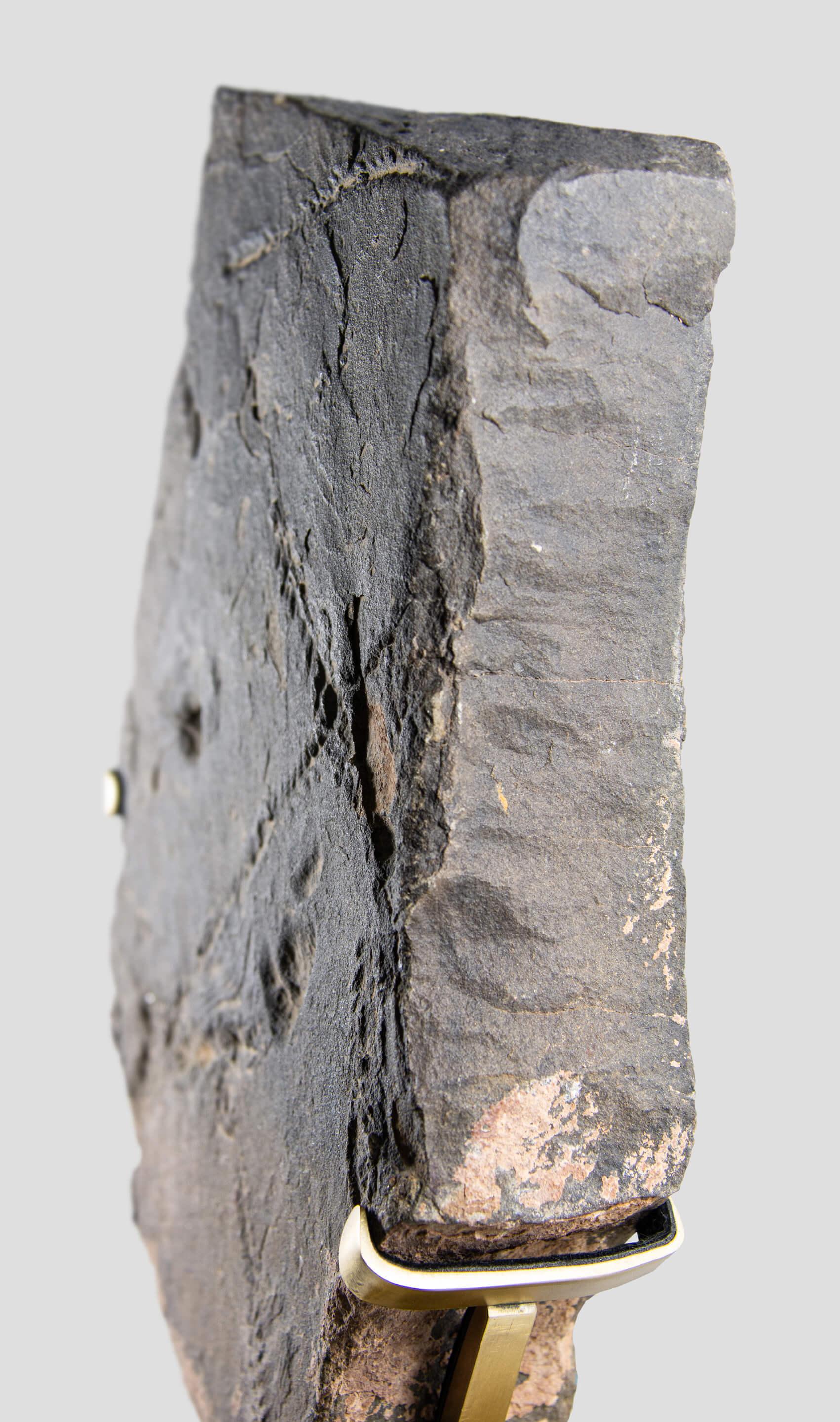Seltene Fossil Trilobite Tracks Surmounted Geätzte Messing Stand im Angebot 2