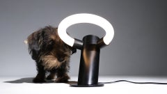 Rare Frans van Nieuwenborg 'The Saint' Industrial Dutch Design Lamp