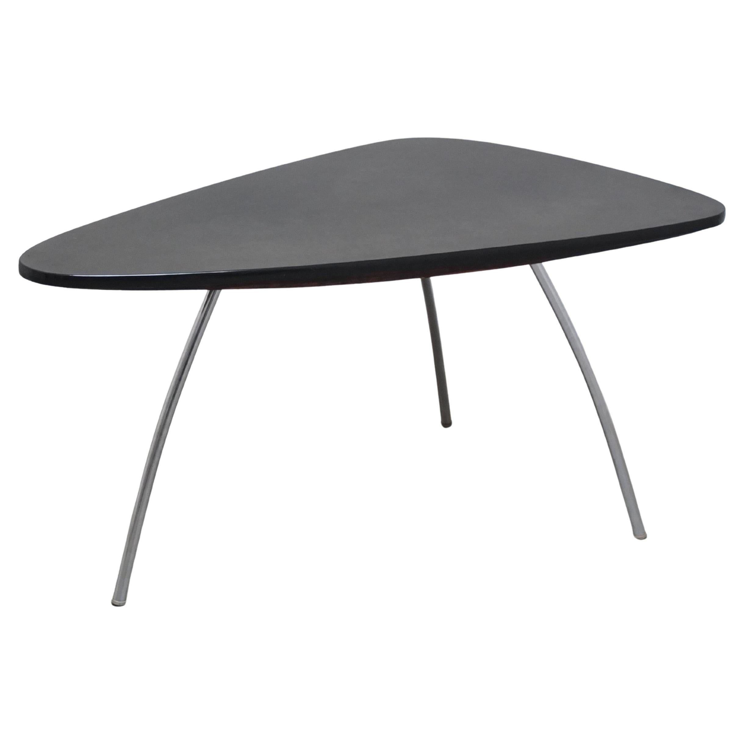 Rare Freeform Coffee Table by Mauser Werke, 1950s For Sale