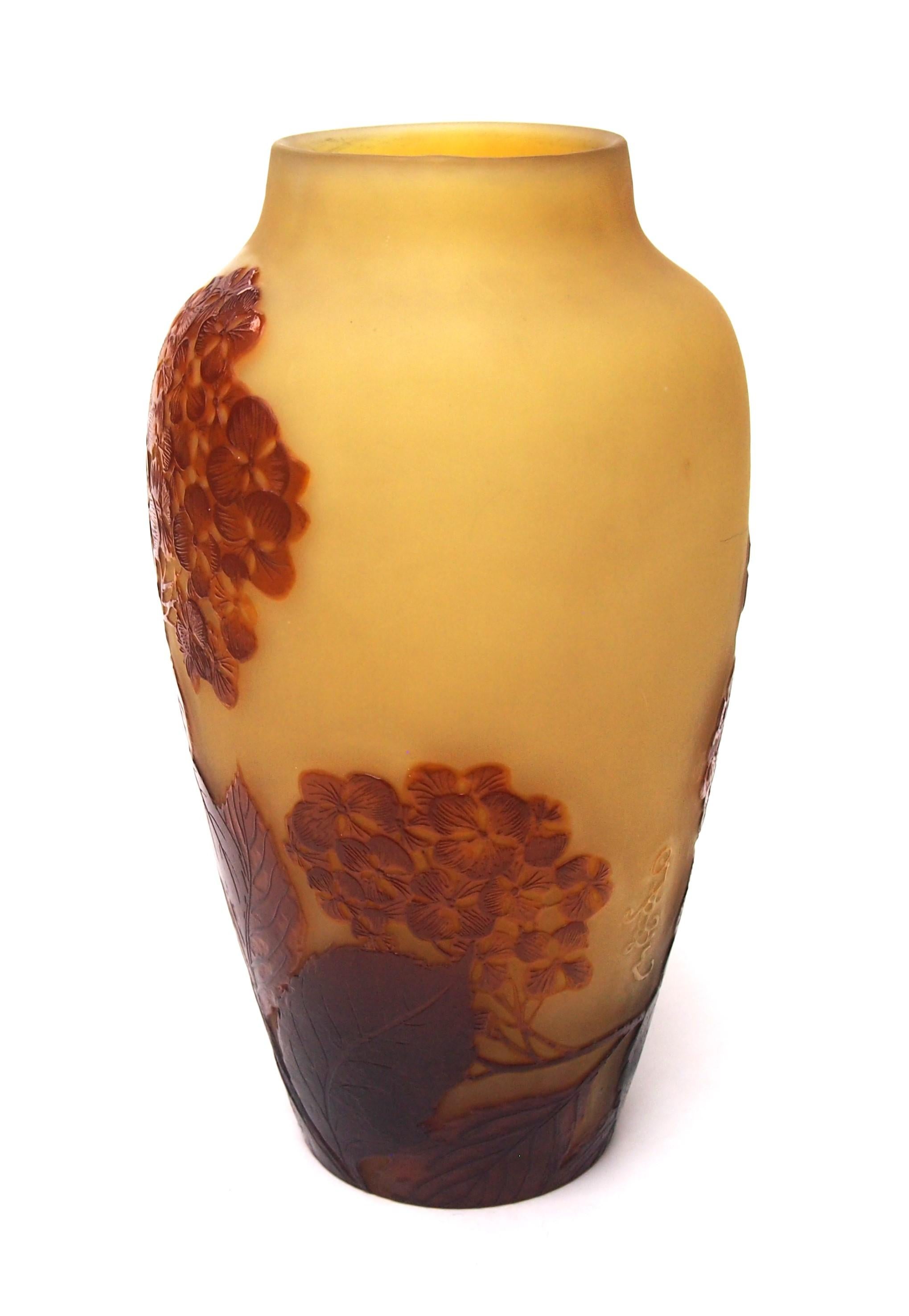 Fabuloso jarrón camafeo tardío de Galle, de color marrón sobre amarillo, con una ingeniosa y fina representación naturalista de hortensias de invierno y ligeramente pulido al fuego. Este gran y excepcional jarrón camafeo pertenece al último y