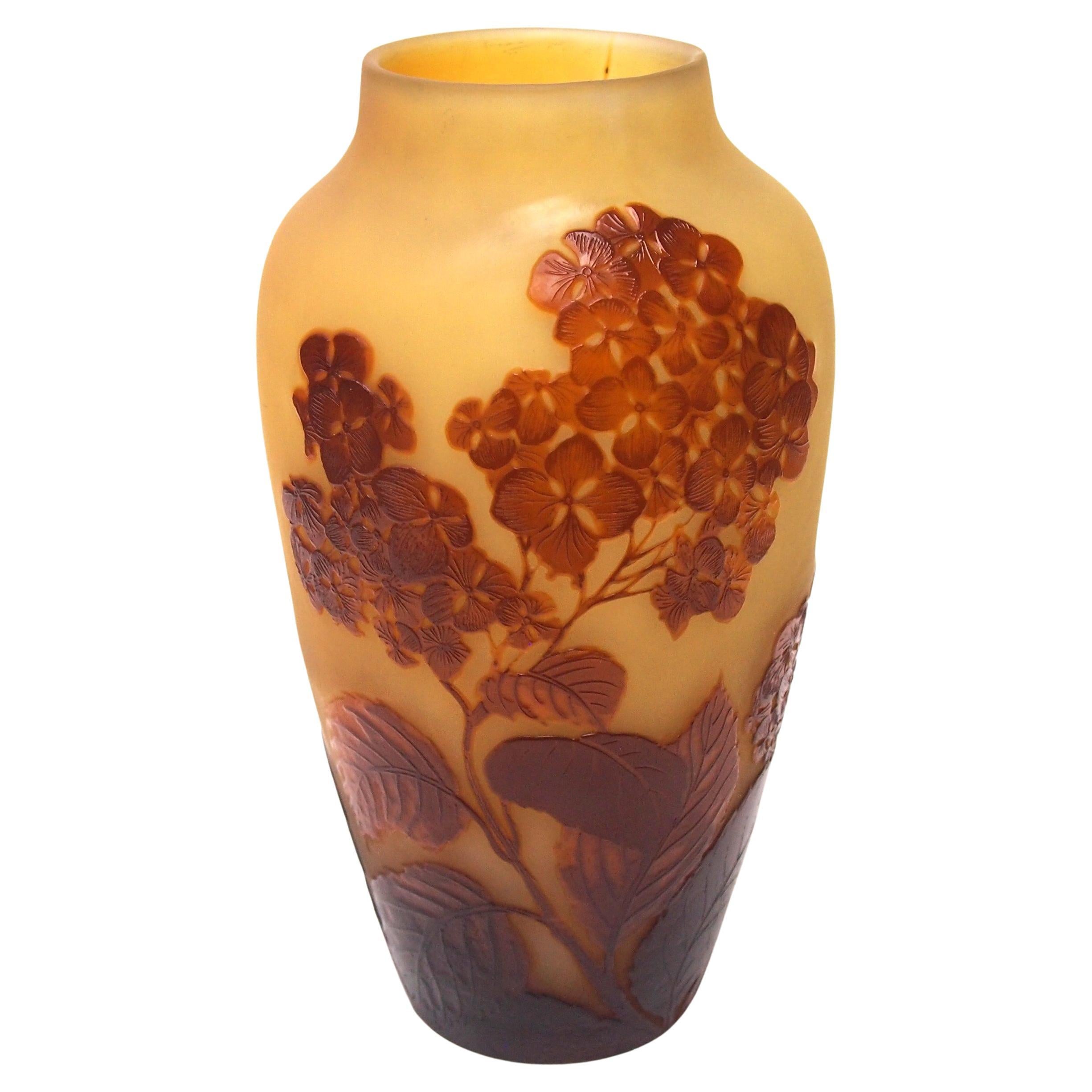Rare vase Art Déco français en verre camée à Galle - Hydrangea d'hiver  -c1925