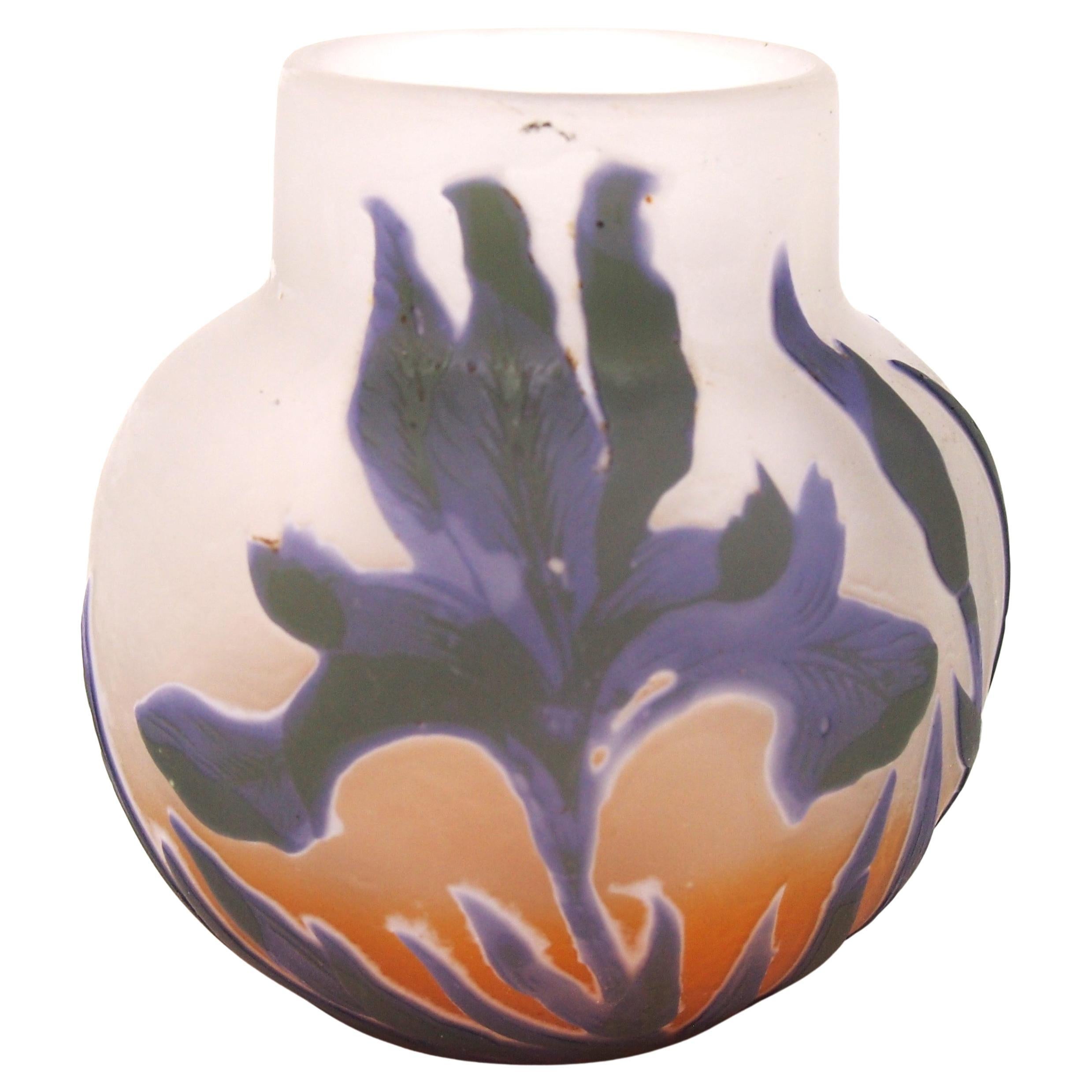 Rare French Art Nouveau 4 colour Emile Galle Cameo Glass Vase -With Irises c1908 For Sale