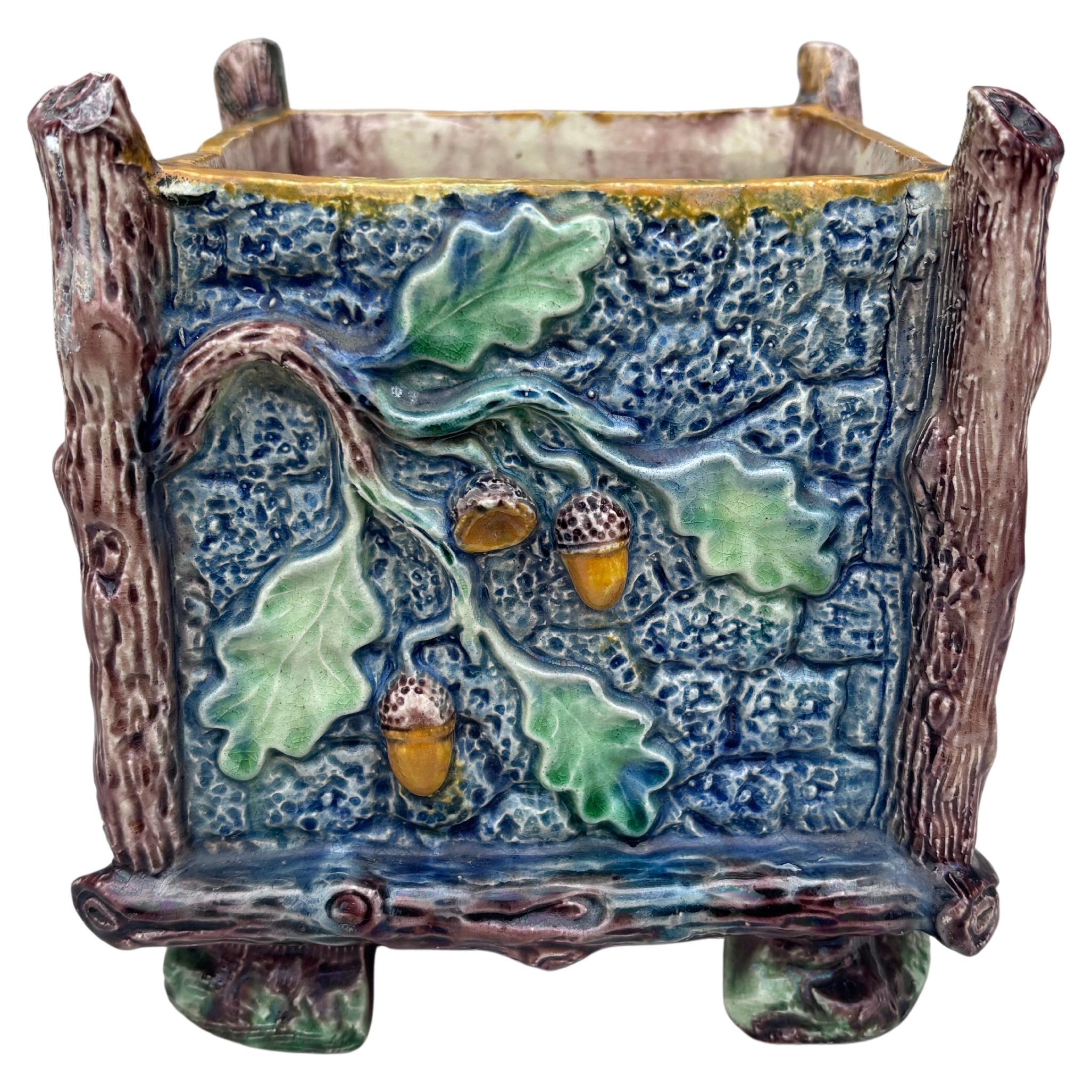 Country Raro cachepot in maiolica francese Palissy con rana e lucertola Thomas Sergent in vendita