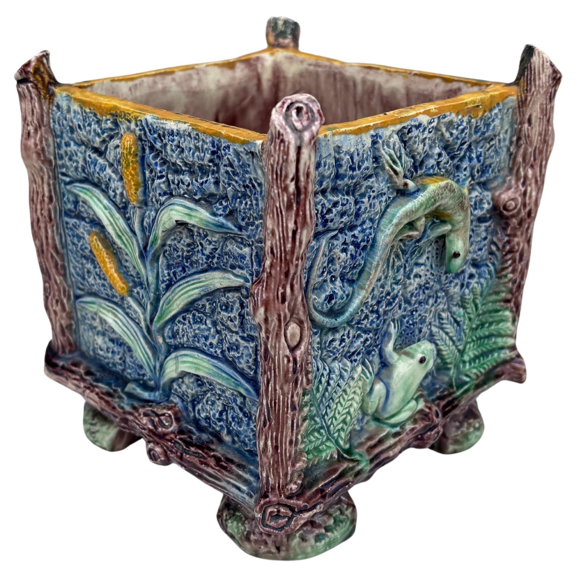Fine XIX secolo Raro cachepot in maiolica francese Palissy con rana e lucertola Thomas Sergent in vendita