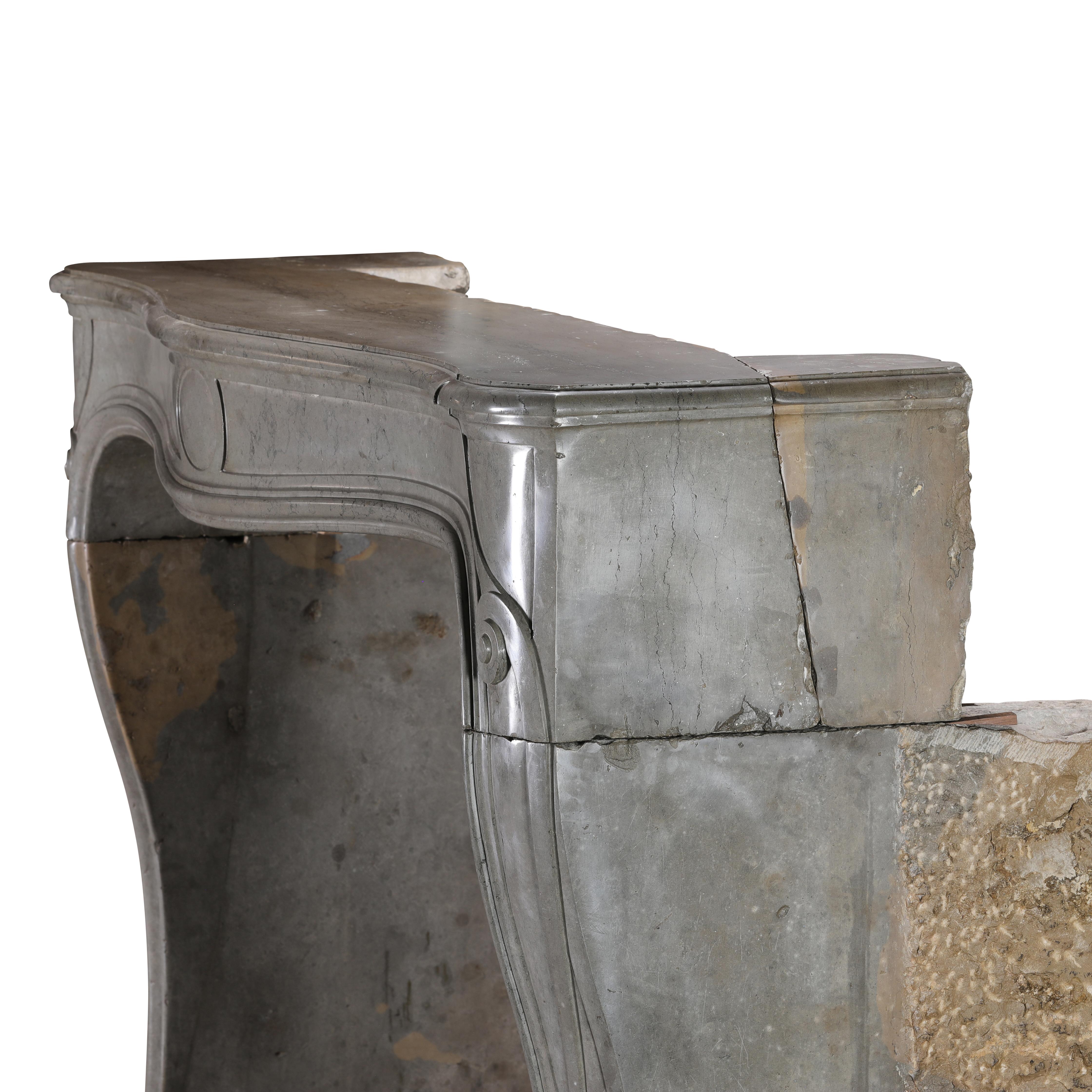 Rare French Regency Fireplace Mantel - Grey-Green Marble - Mastic Hues For Sale 7