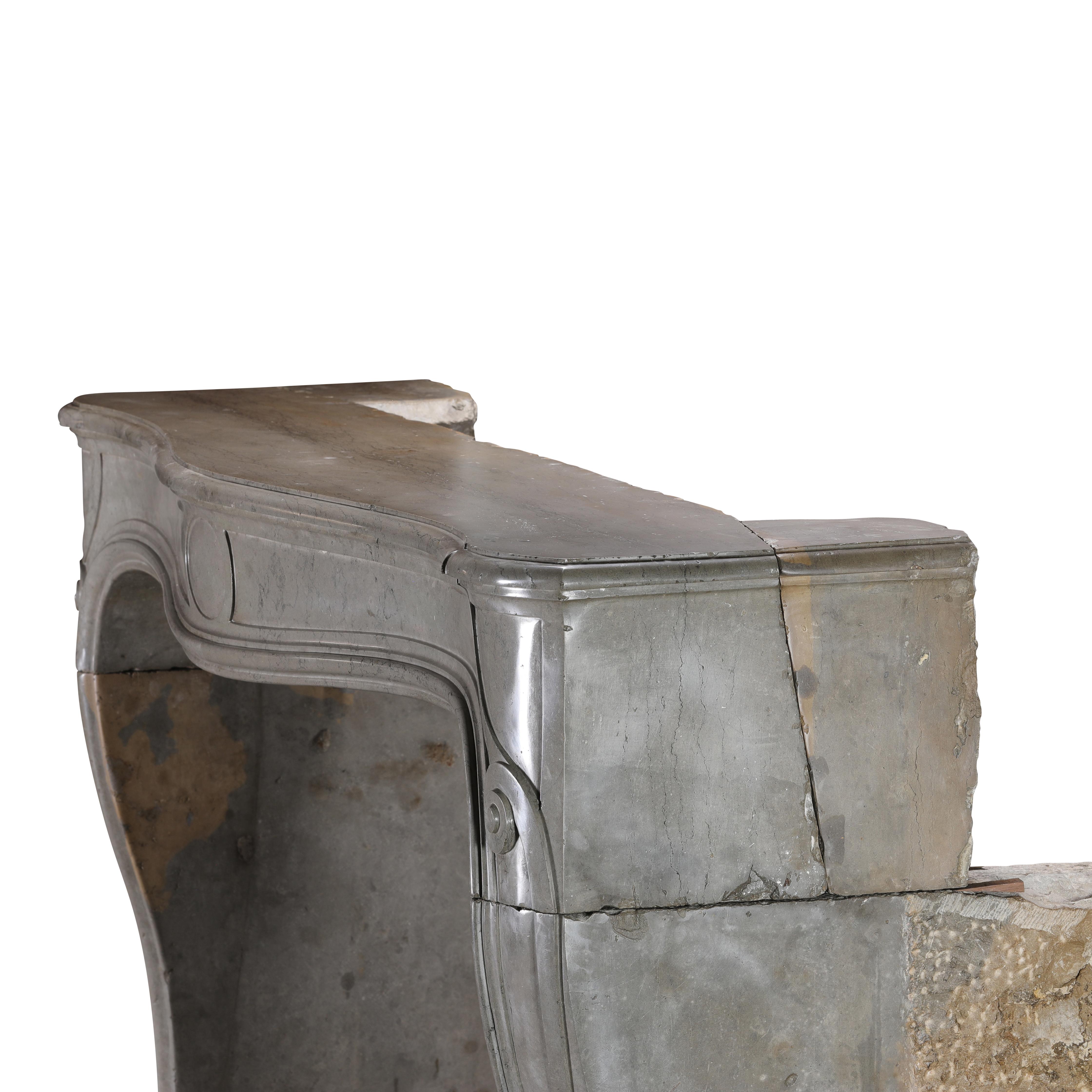 Rare French Regency Fireplace Mantel - Grey-Green Marble - Mastic Hues For Sale 8