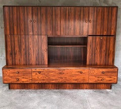 Rare French Rio Palissander Wall Unit, 1970s