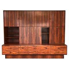 Rare French Rio Palissander Wall Unit, 1970s