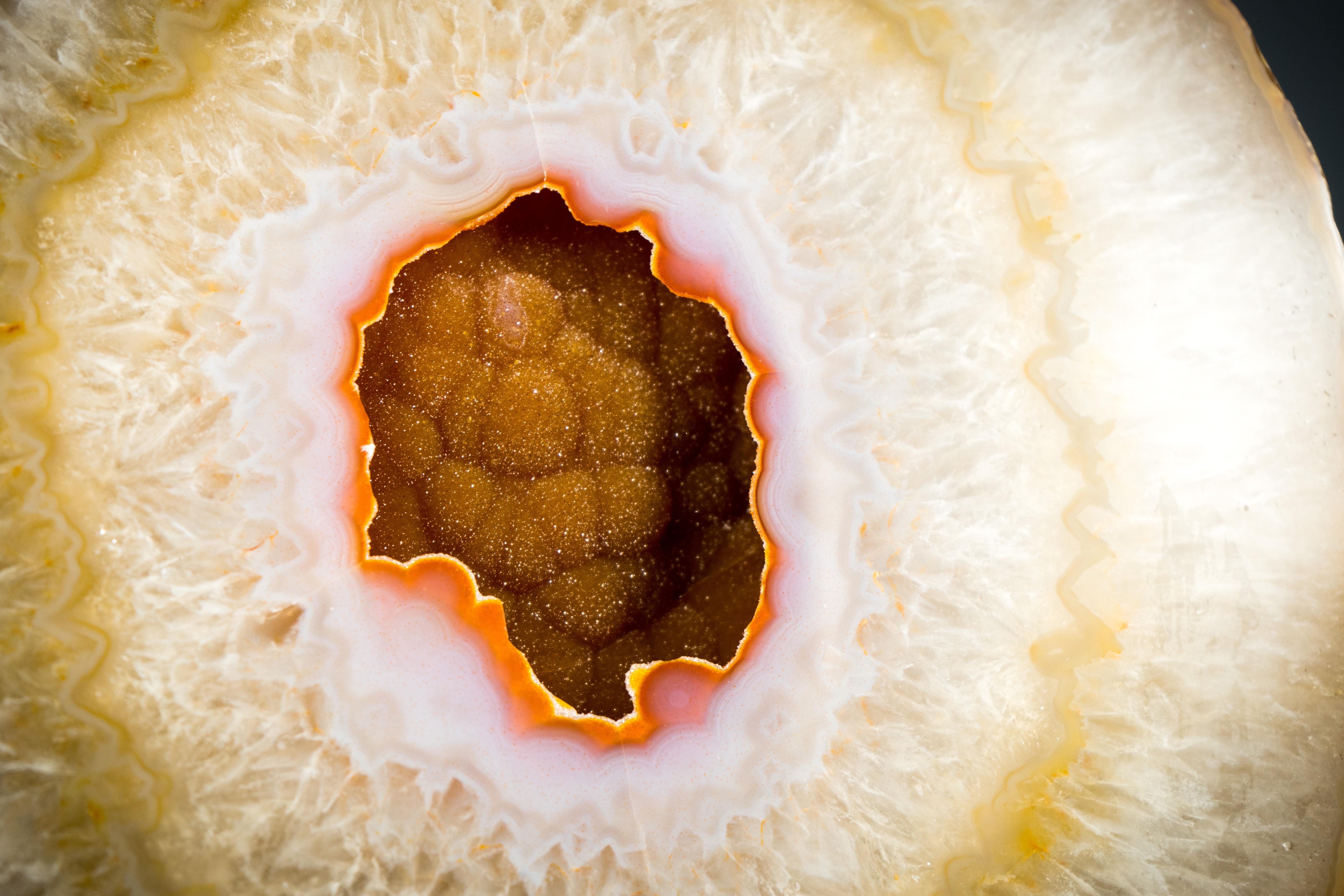 Raro y exquisito espécimen de geoda de ágata musgosa, natural, con drusa de azúcar blanca

▫️ Descripción

Con un hallazgo único en la vida, la impresionante formación drusa galaxia naranja en su centro, esta Geoda de Ágata es un espécimen raro y