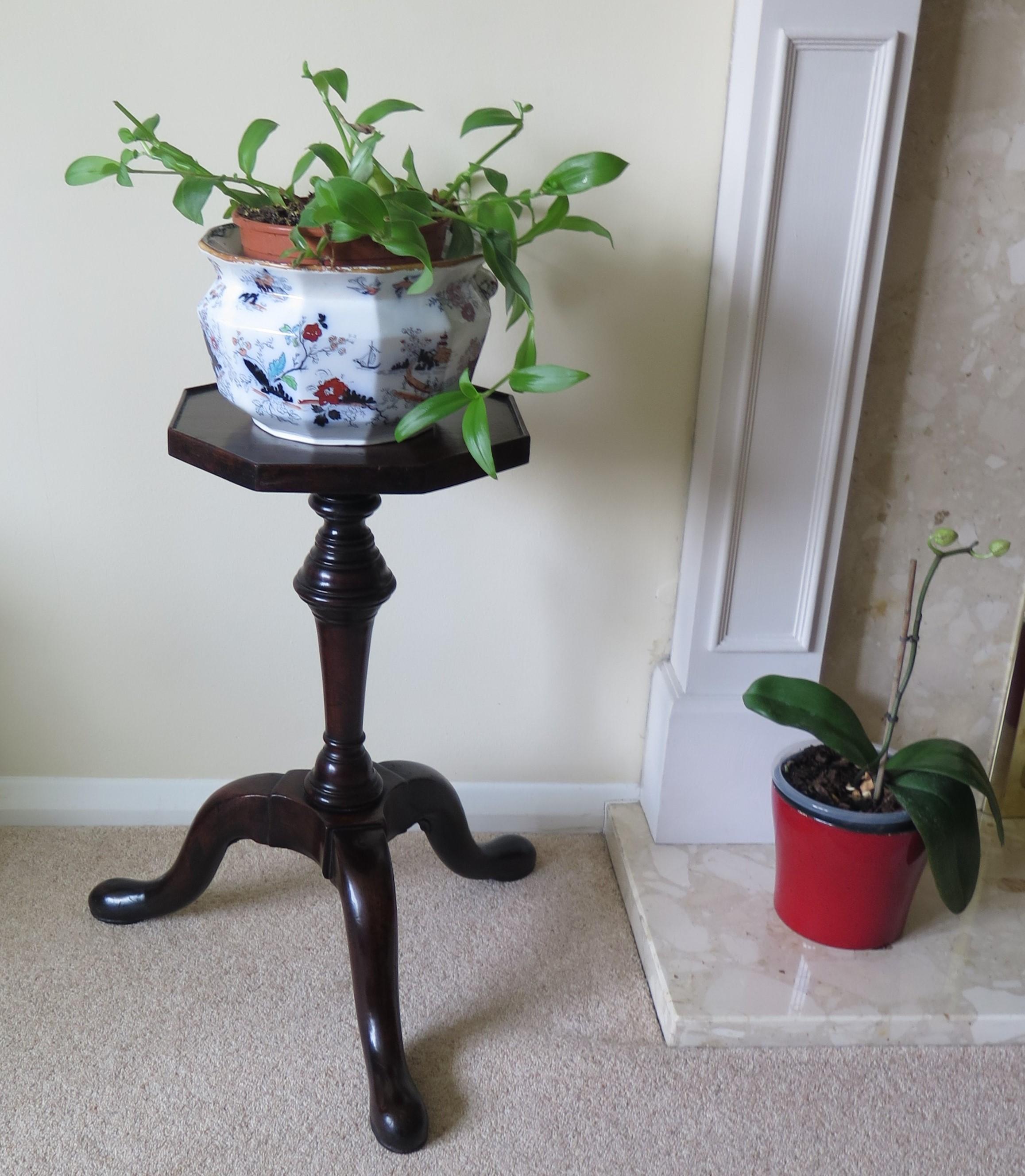 Rare George 11 Kettle or Candle Stand Cuban Mahogany with Tripod Base, Ca 1745  13