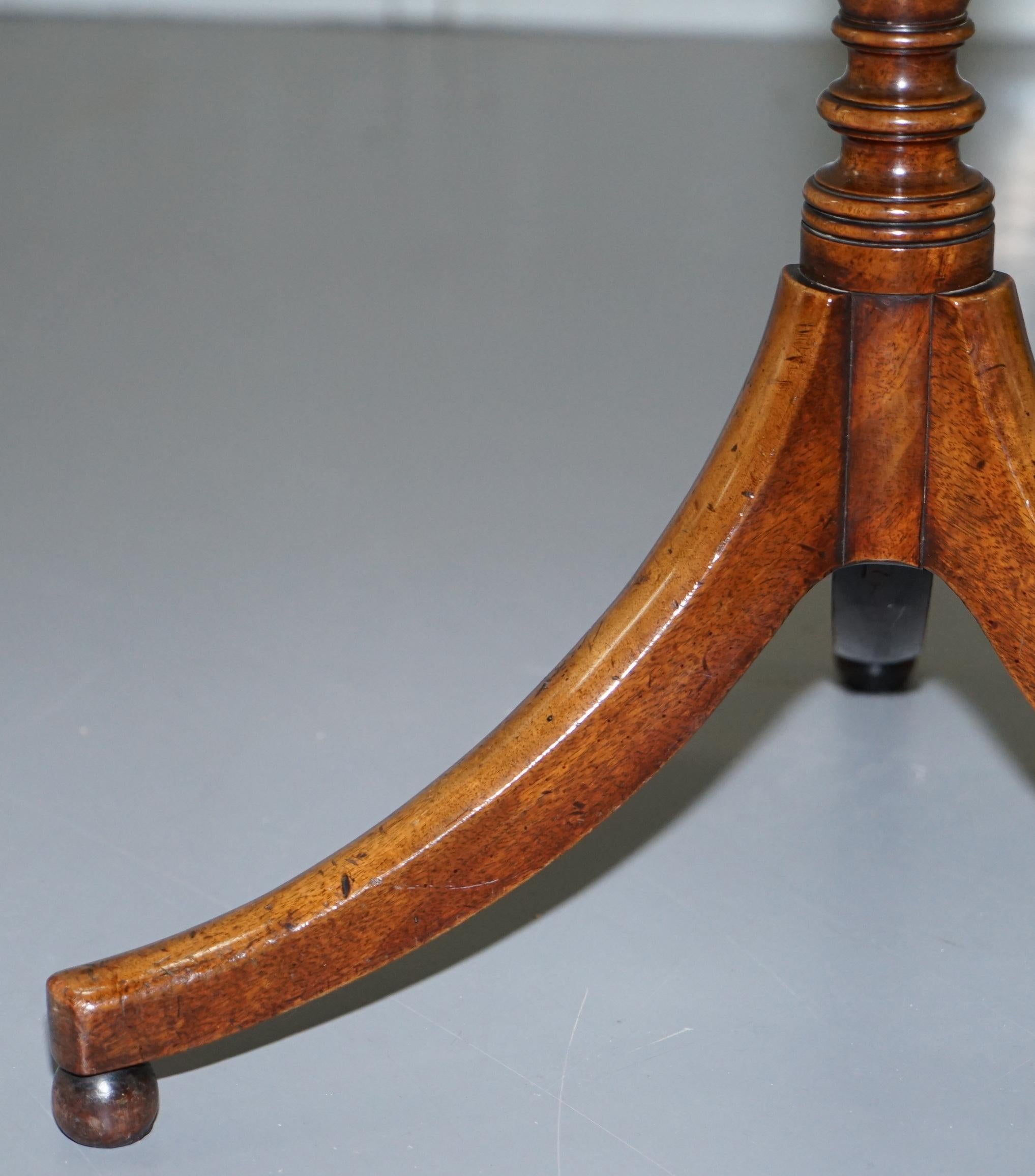Seltene Hartholz-Dreibein-Beistellstütze, zeitloses Design nach Gillows, George IV, um 1820 im Angebot 4