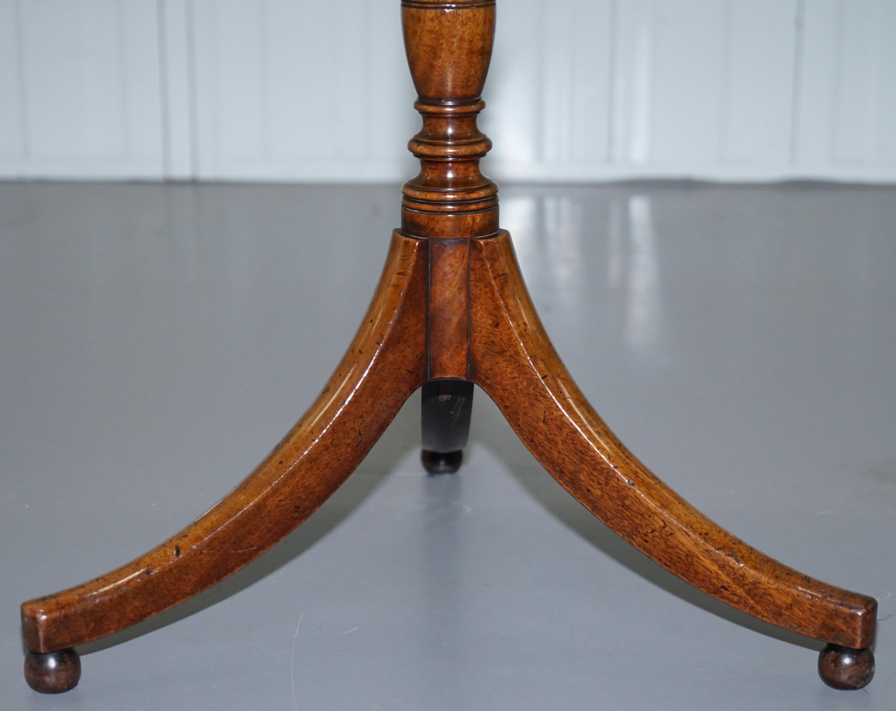Seltene Hartholz-Dreibein-Beistellstütze, zeitloses Design nach Gillows, George IV, um 1820 im Angebot 1