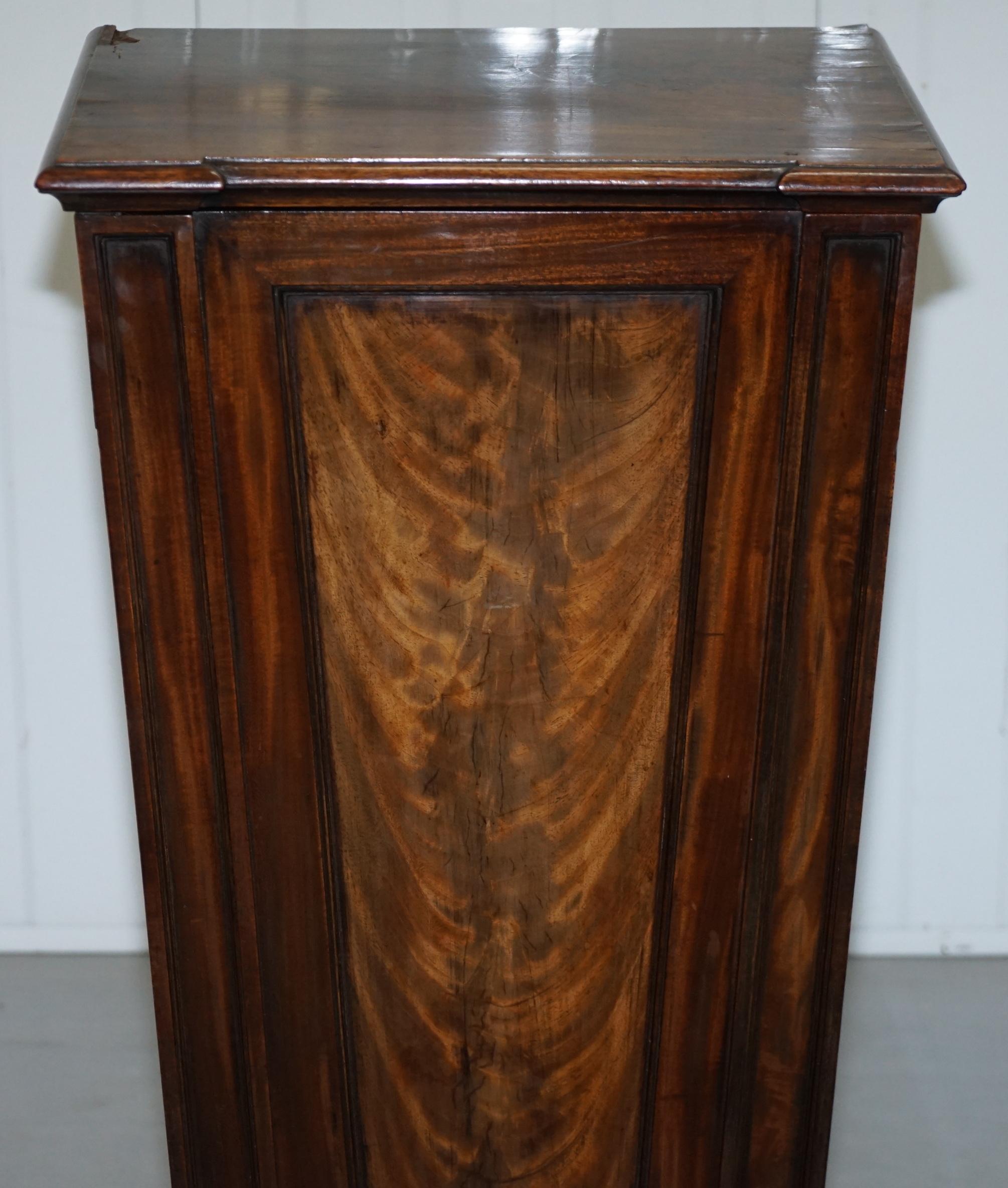 Early 19th Century Rare George iv circa 1820s Flamed Mahogany Pedestal Cupboard Lion Paw Feet