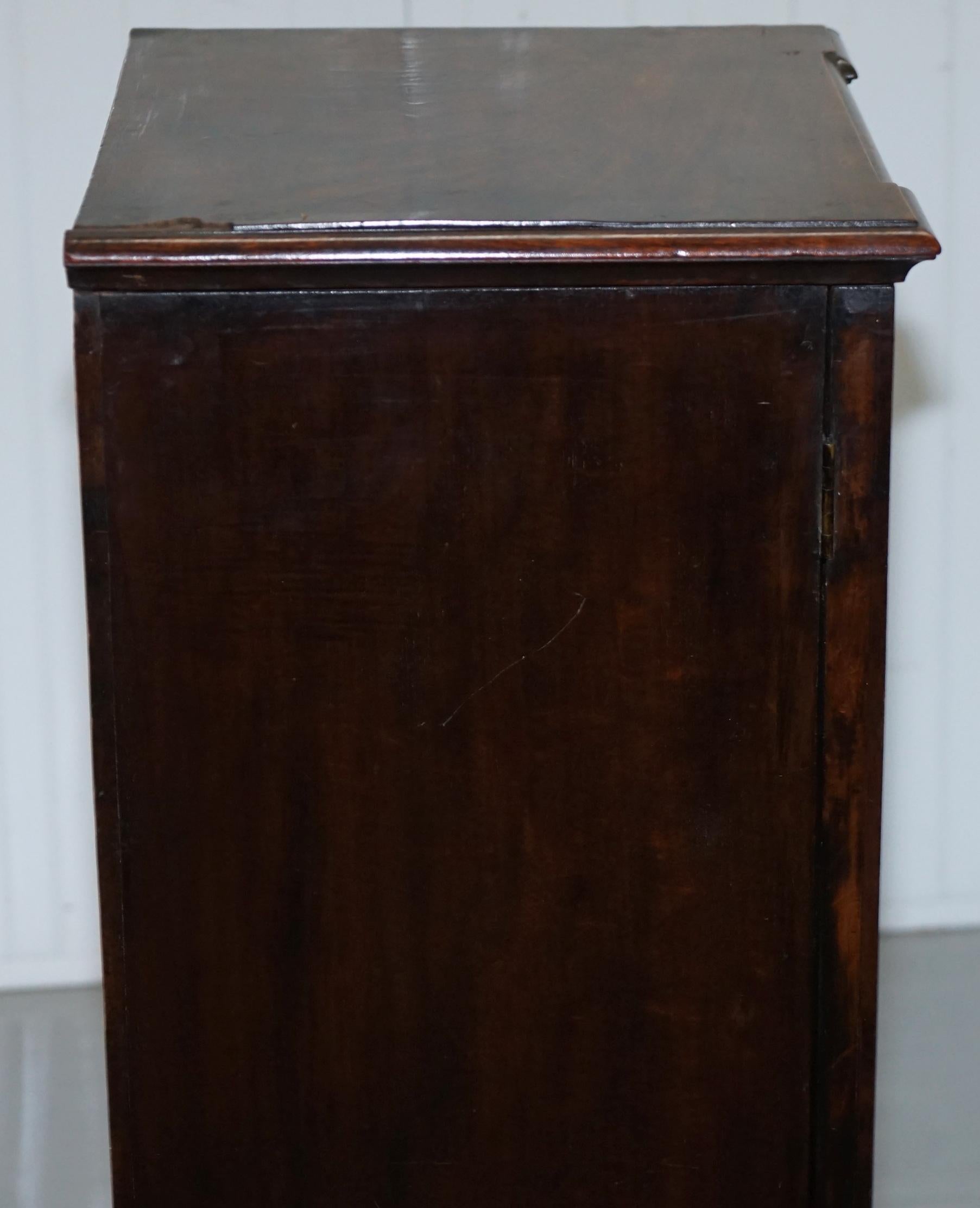 Rare George iv circa 1820s Flamed Mahogany Pedestal Cupboard Lion Paw Feet 3