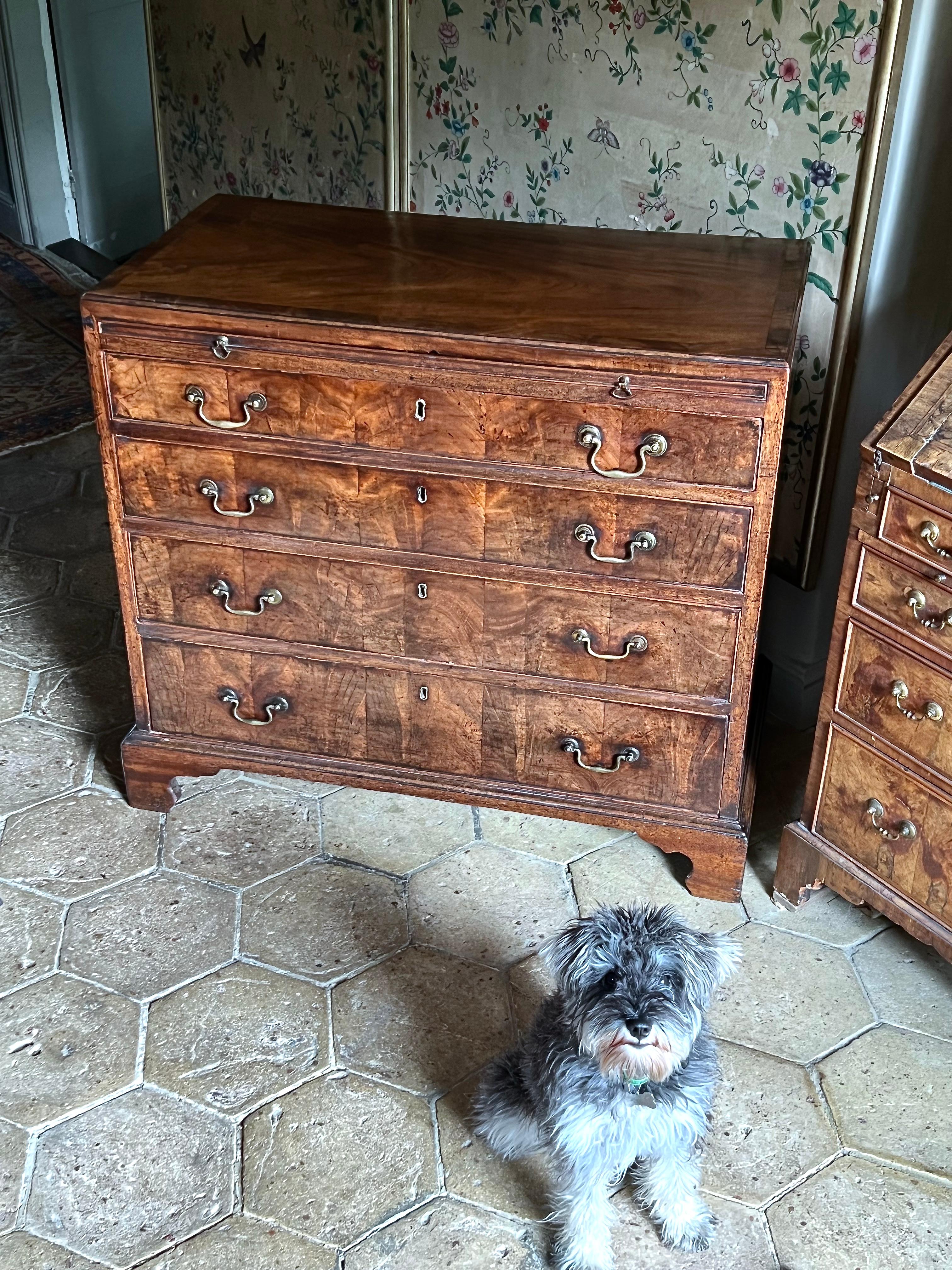 Rare George III Walnut and Mahogany Caddy-Top Bachelor’s Chest For Sale 7