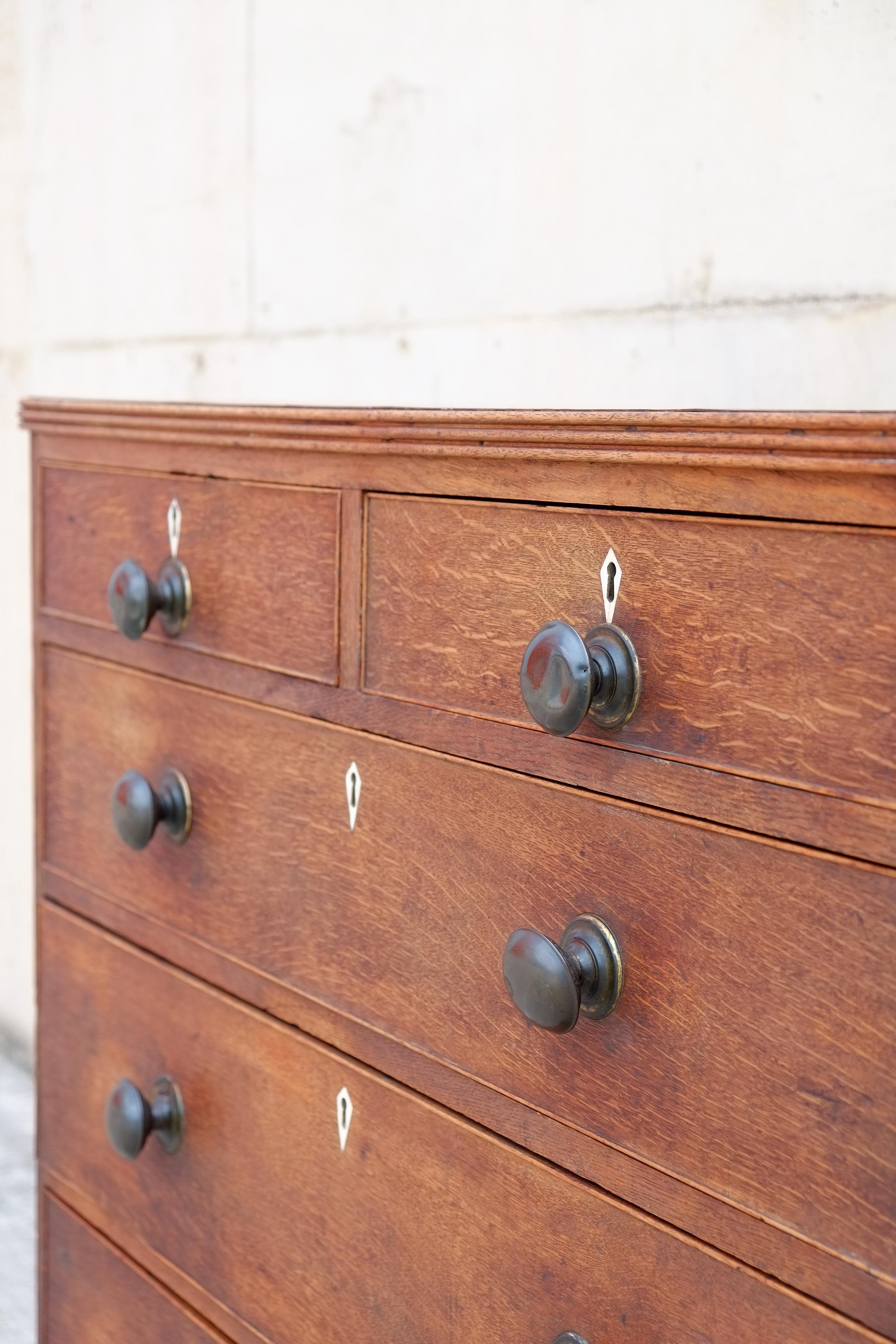 Rare Georgian Antique English Chest of Drawers in Oak with Brass Knobs For Sale 5
