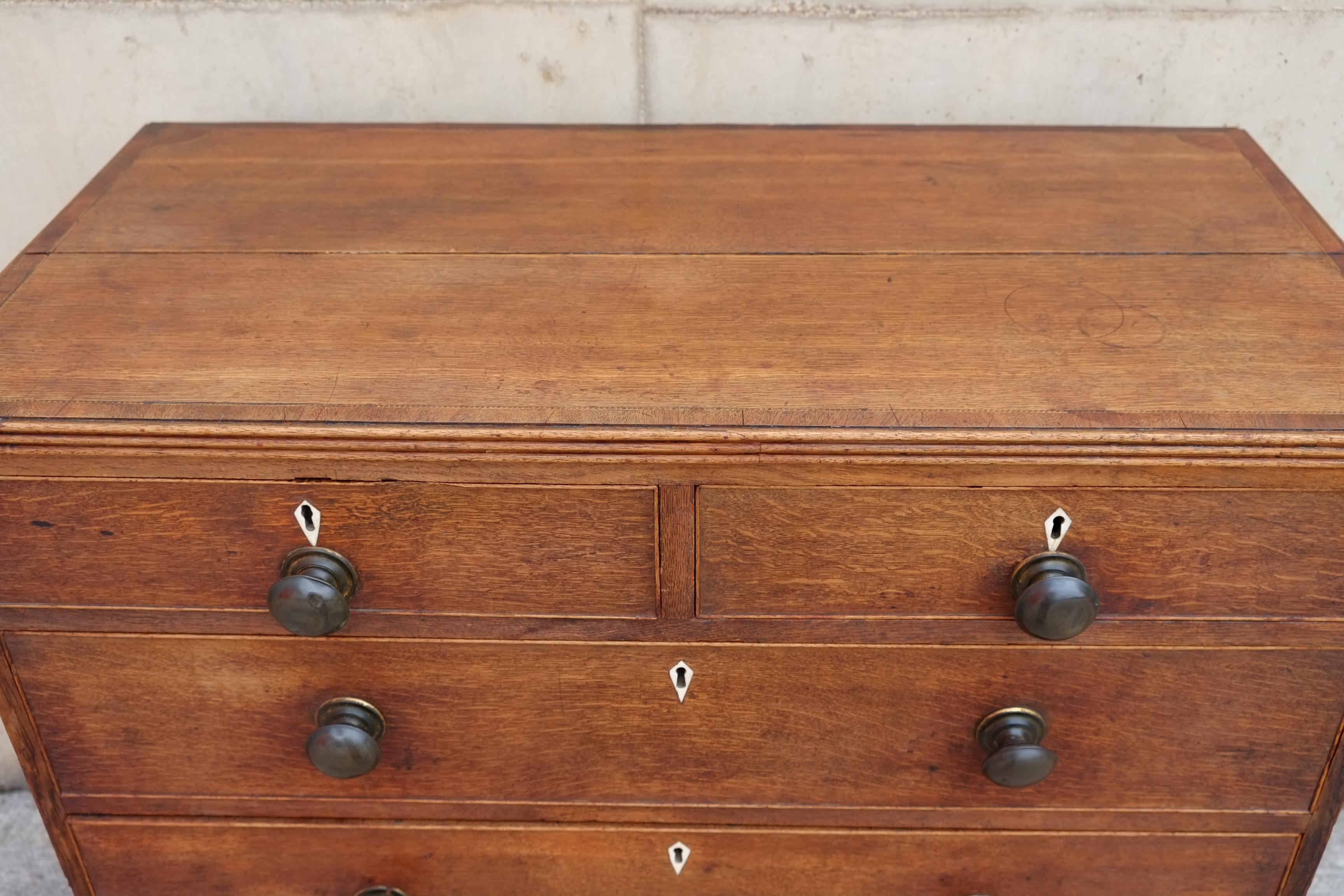 Rare Georgian Antique English Chest of Drawers in Oak with Brass Knobs For Sale 12