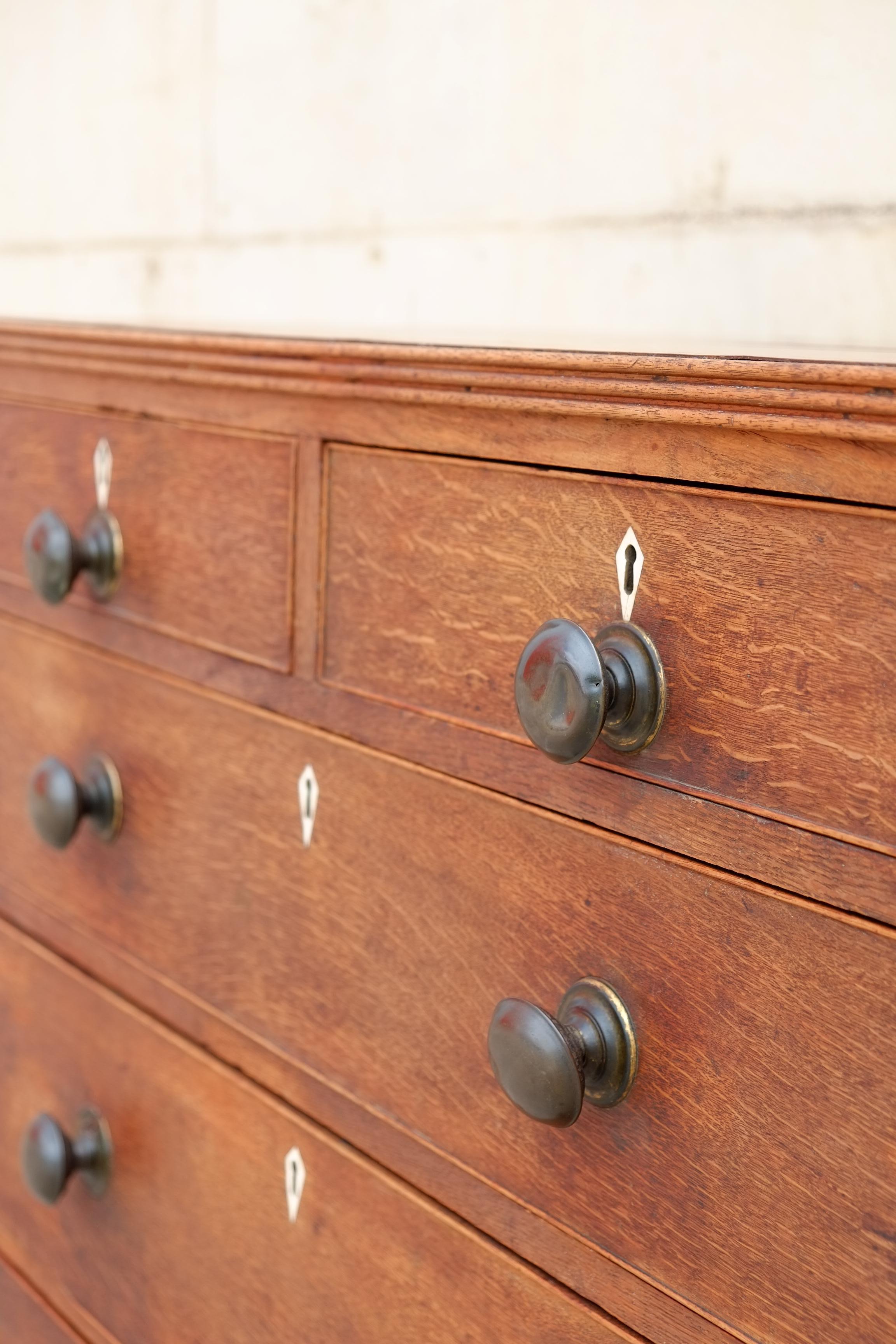 Rare Georgian Antique English Chest of Drawers in Oak with Brass Knobs For Sale 4