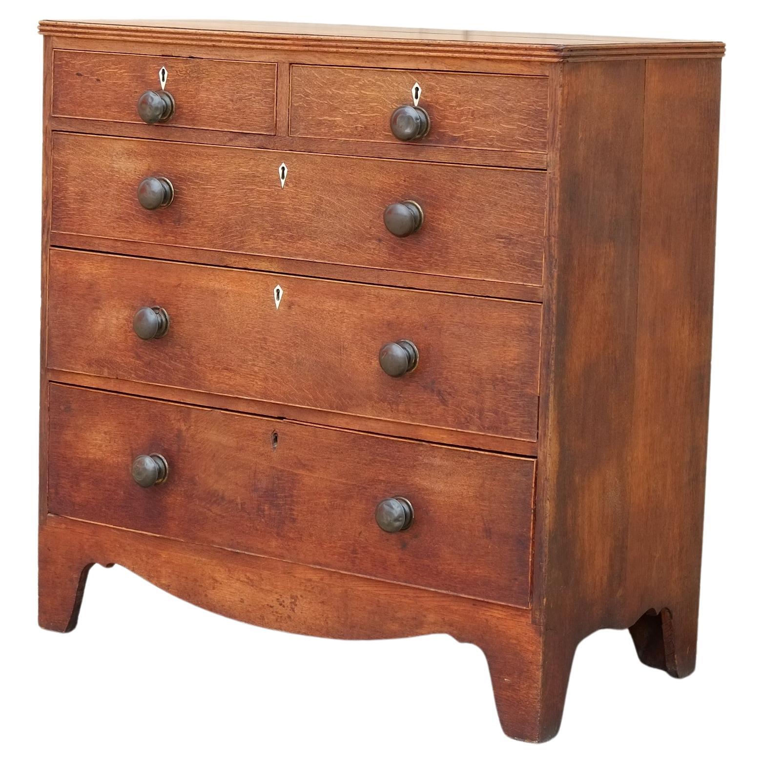 Rare Georgian Antique English Chest of Drawers in Oak with Brass Knobs For Sale