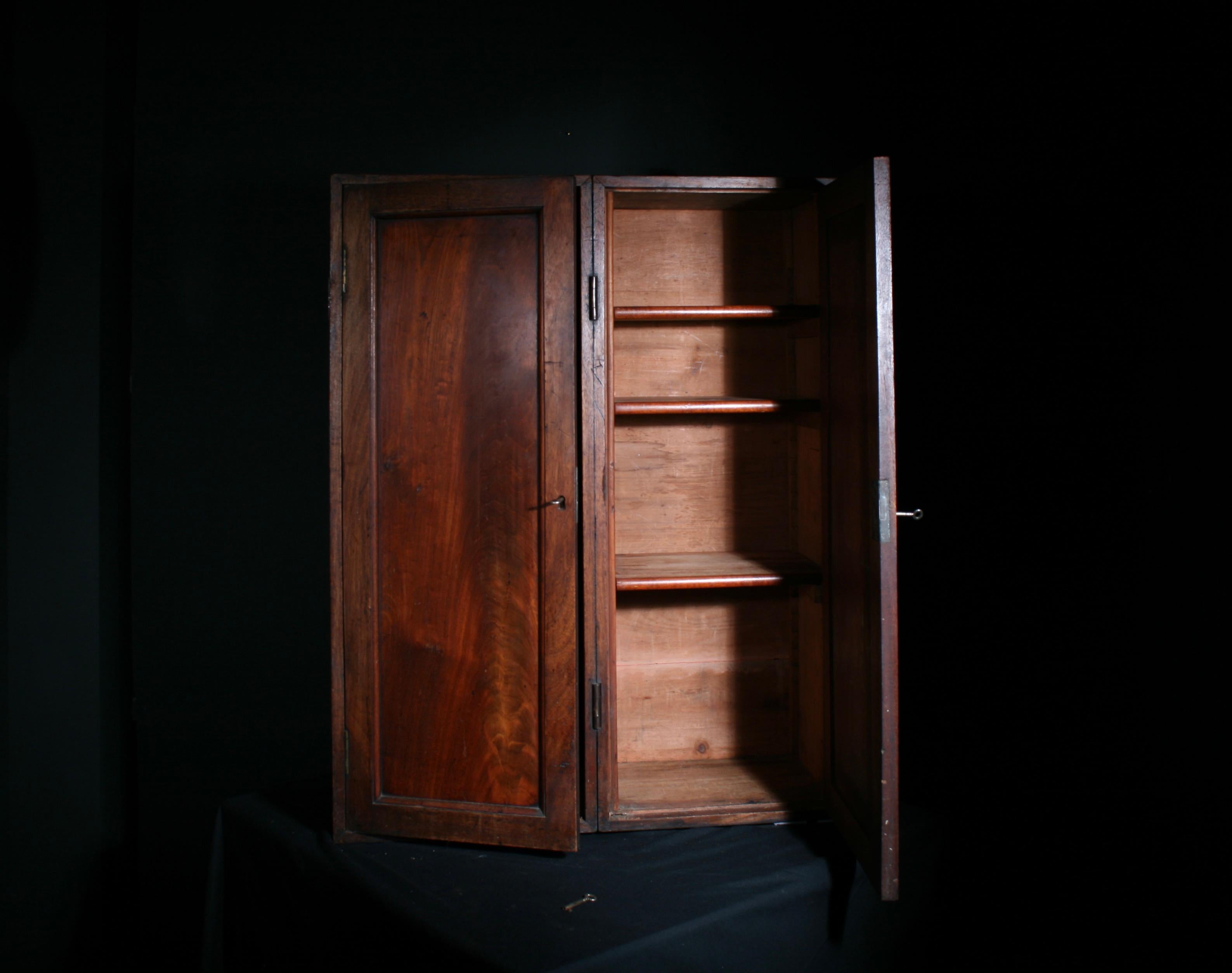 Rare bibliothèque de campagne géorgienne Bon état - En vente à Kingsbridge, GB