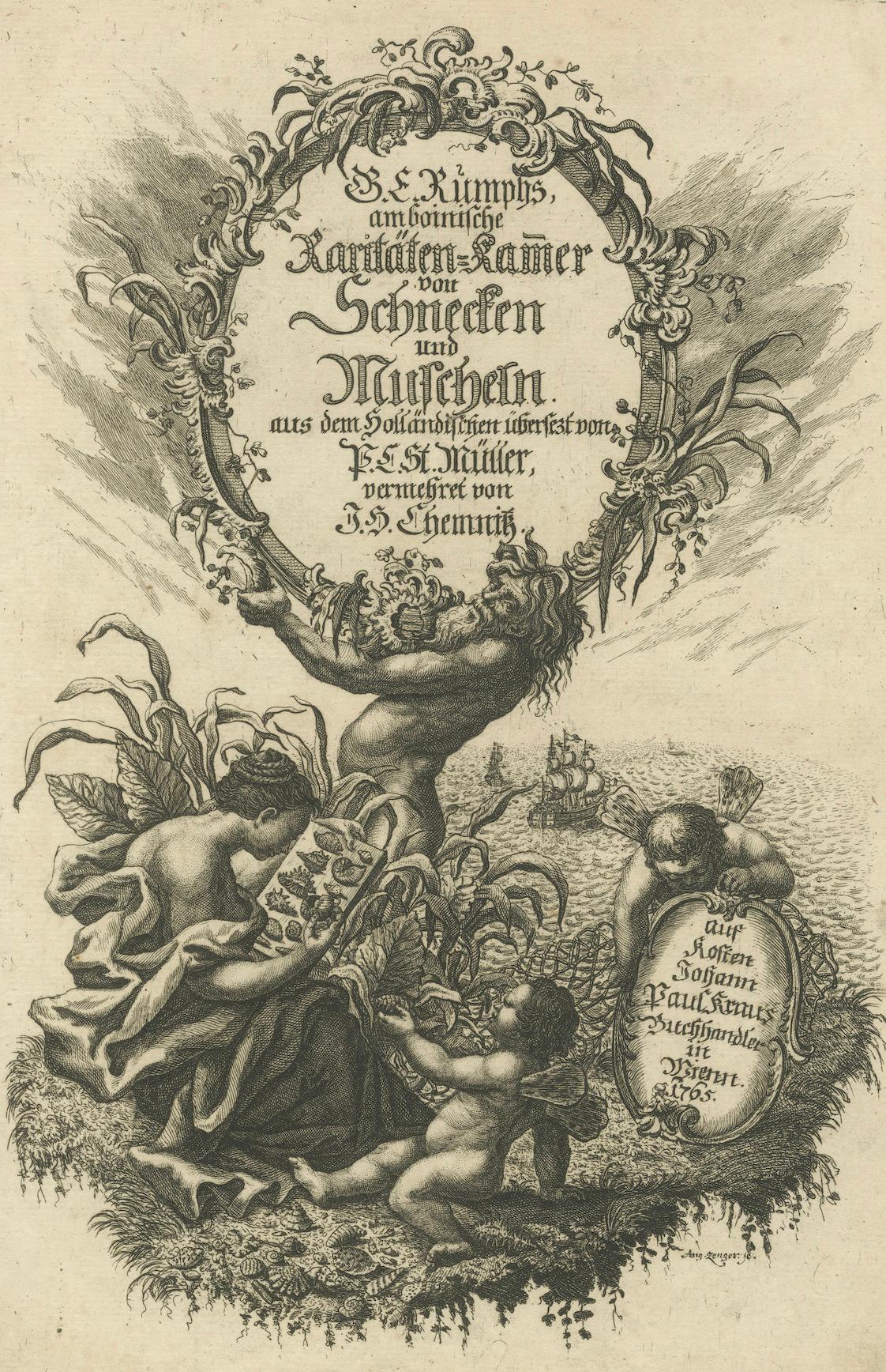 The Amboinese Cabinet of Curiosities was a work  by Georg Eberhard Rumphius, and included many engravings of sea shells and crustaceans.

The German edition of the book was financed by Johann Balthasar Probst, publisher in Augsburg.

As for the